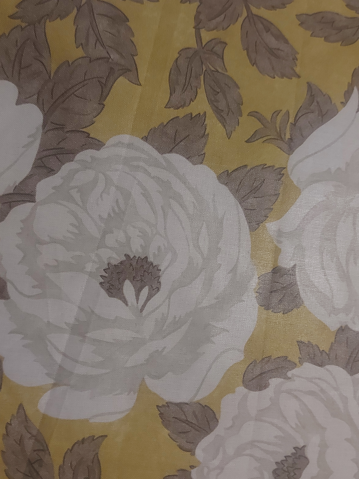 White Rose on Mustard/Mink Crisp Cotton