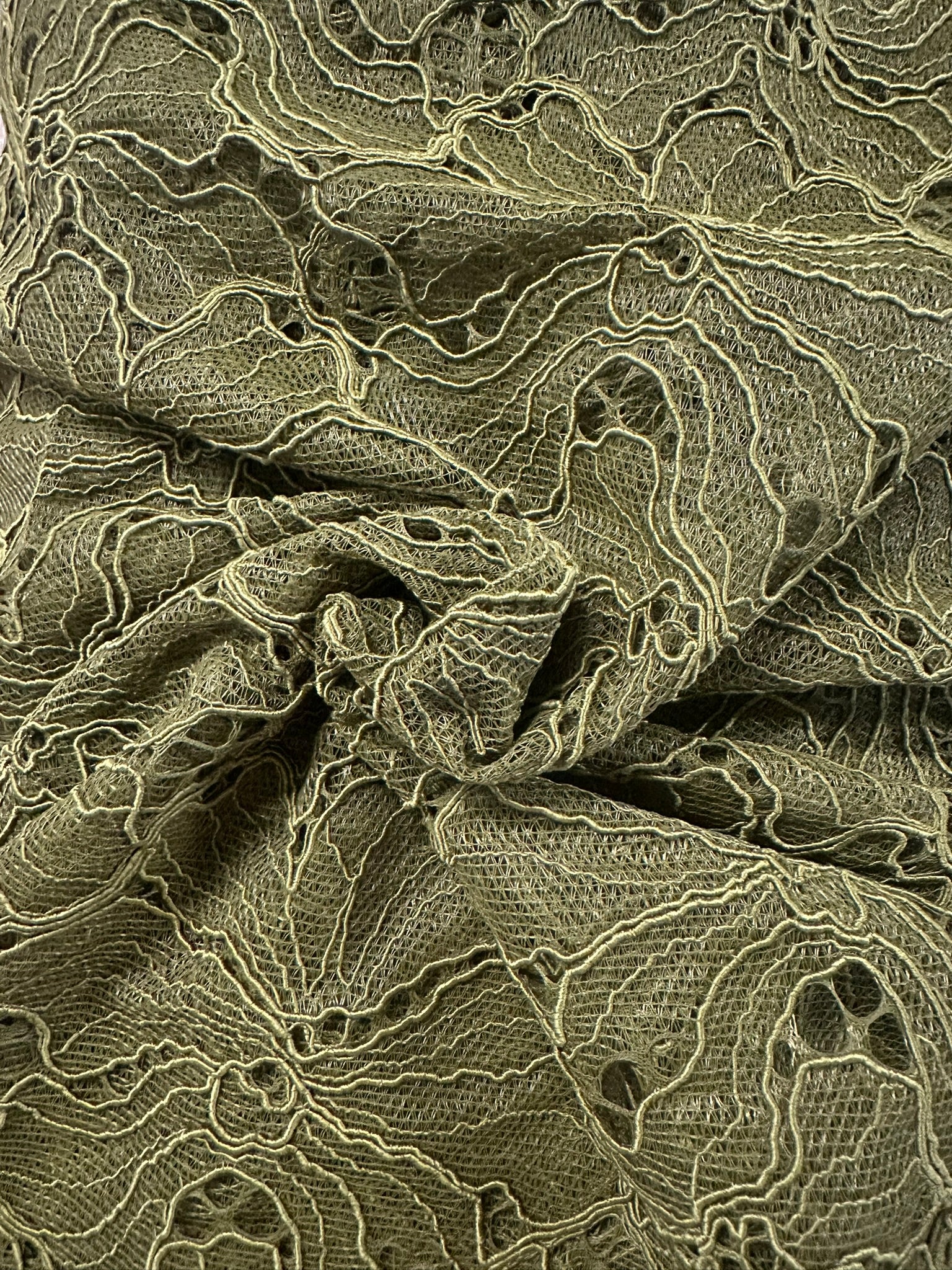 Olive Green Corded Floral Lace – Elegant & Versatile