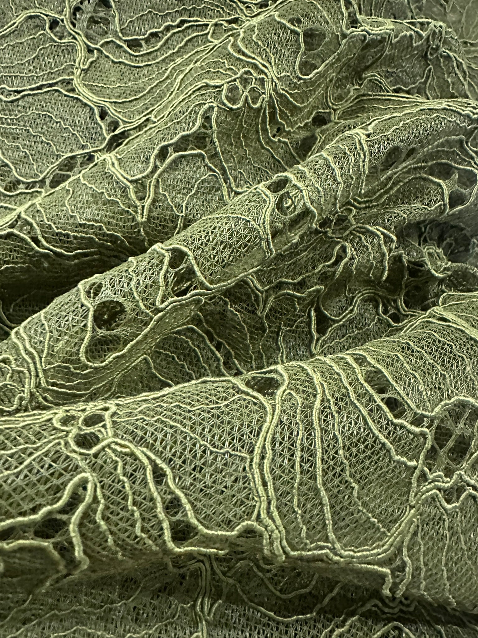 Olive Green Corded Floral Lace – Elegant & Versatile