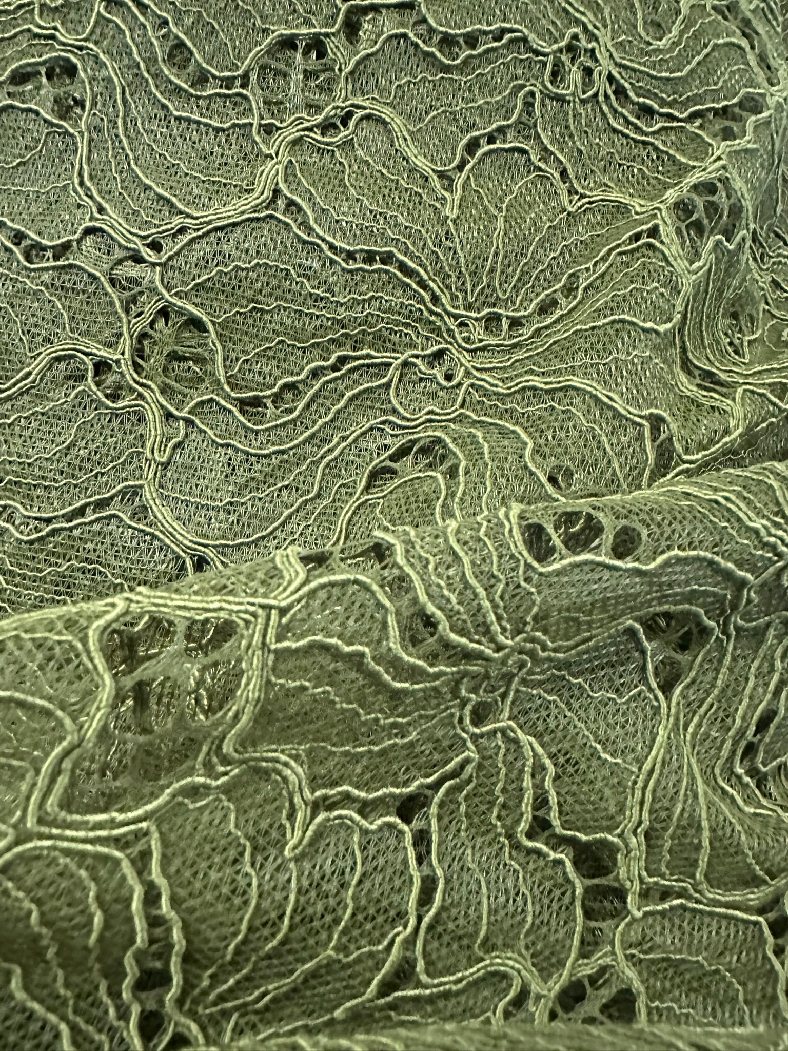 Olive Green Corded Floral Lace – Elegant & Versatile