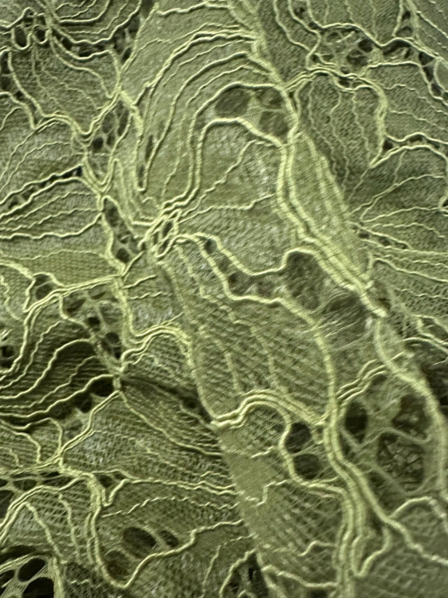 Olive Green Corded Floral Lace – Elegant & Versatile