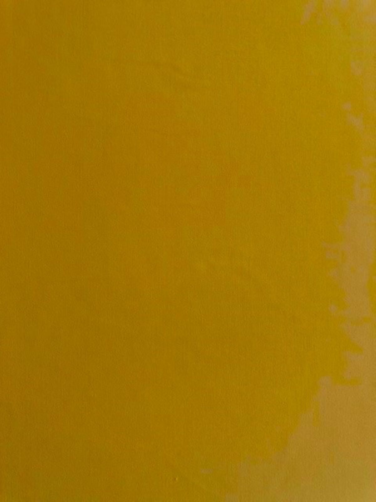 Mango Yellow Mid Weight Jersey