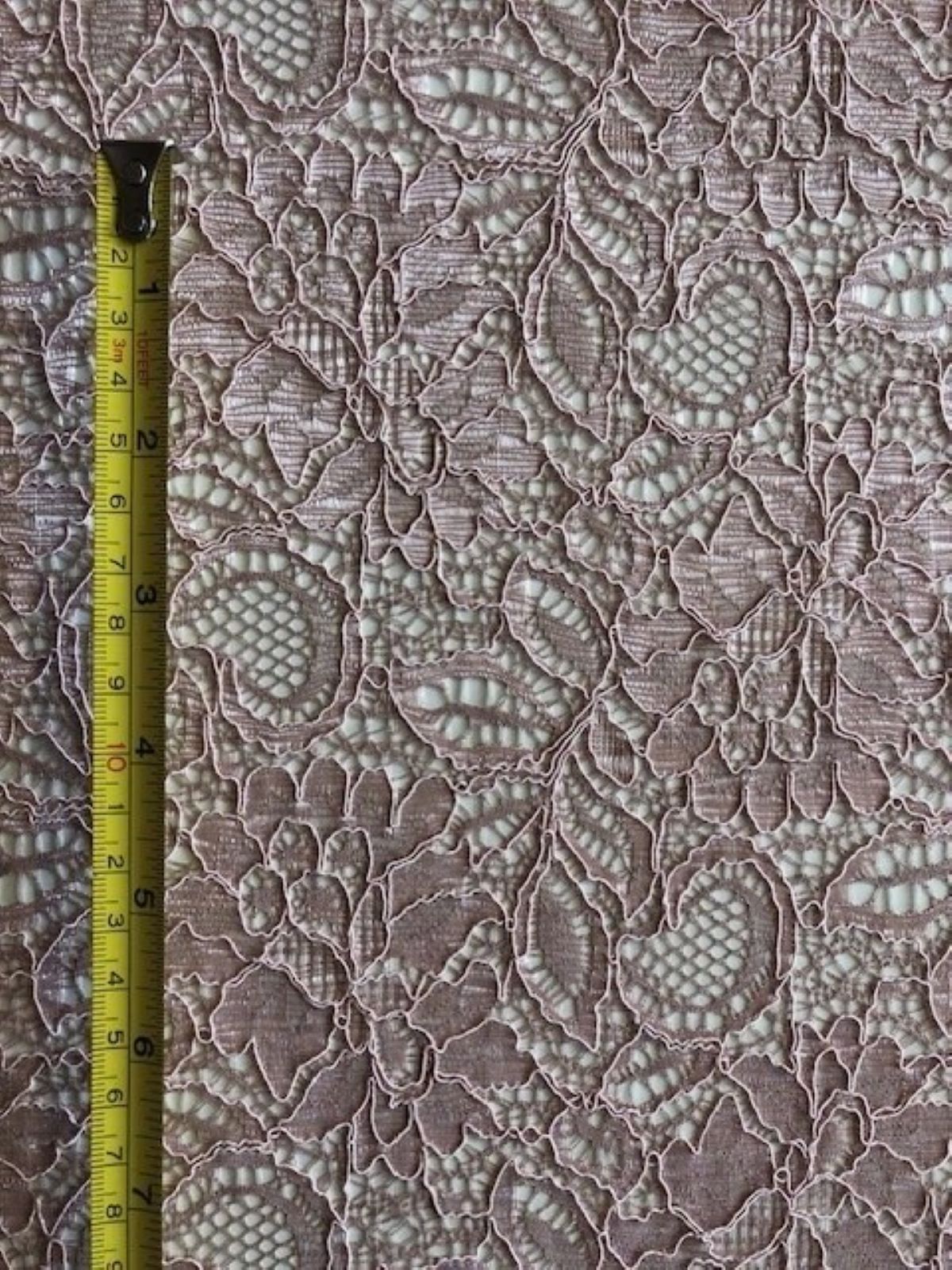 Pink Corded Lace with Scalloped Edge