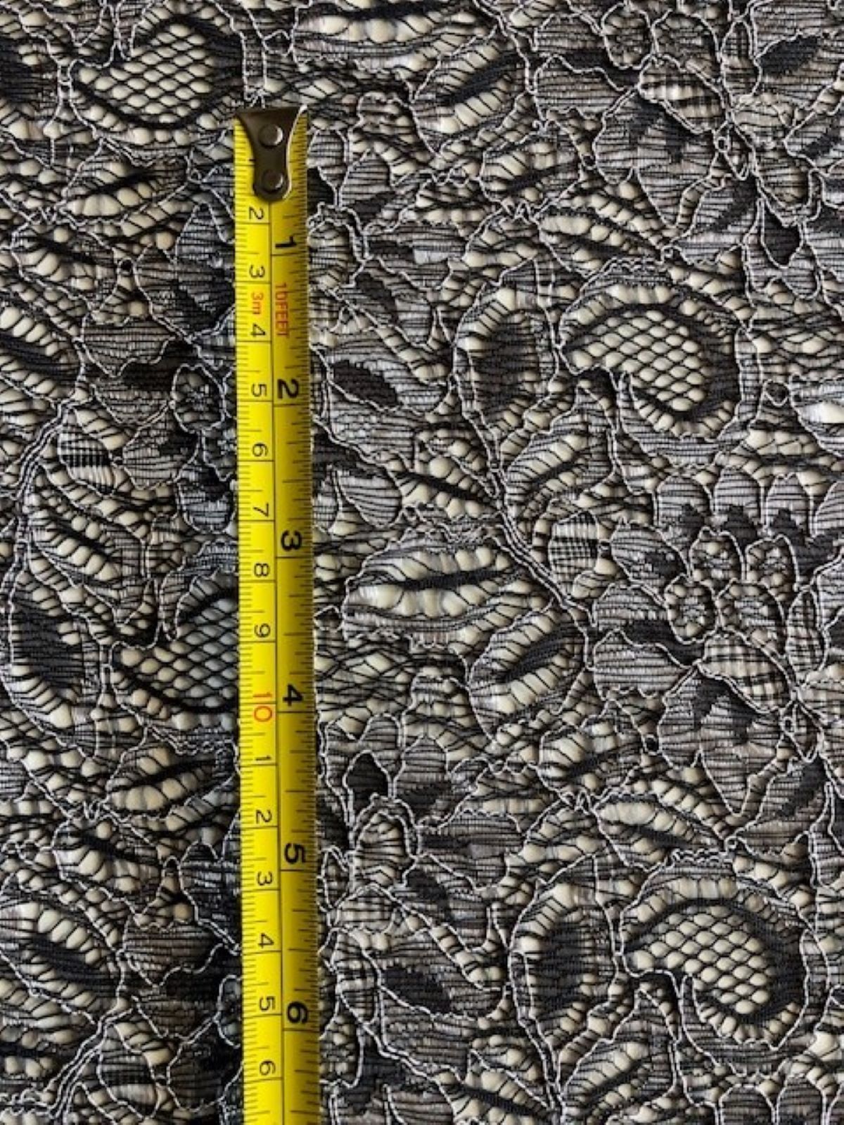 Slate Corded Lace with Scalloped Edge