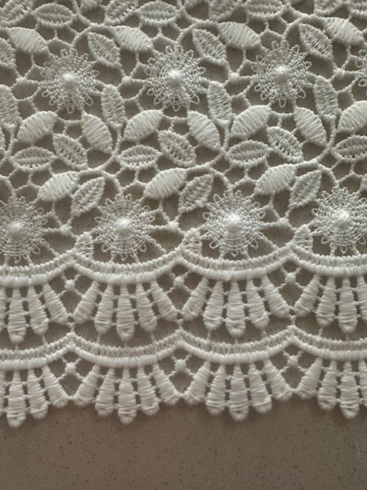 Ivory Guipure Lace with Scalloped Edge