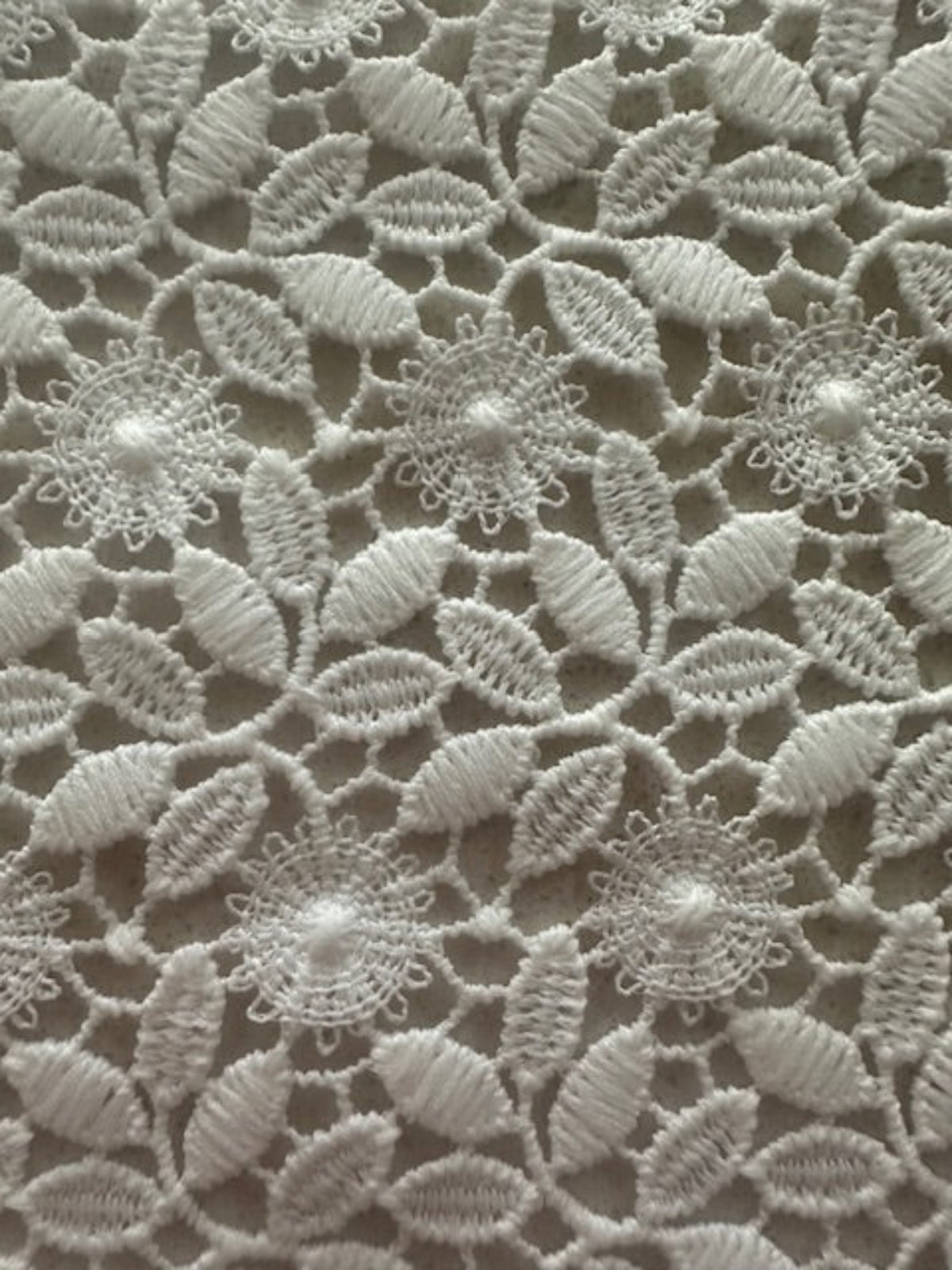 Ivory Guipure Lace with Scalloped Edge