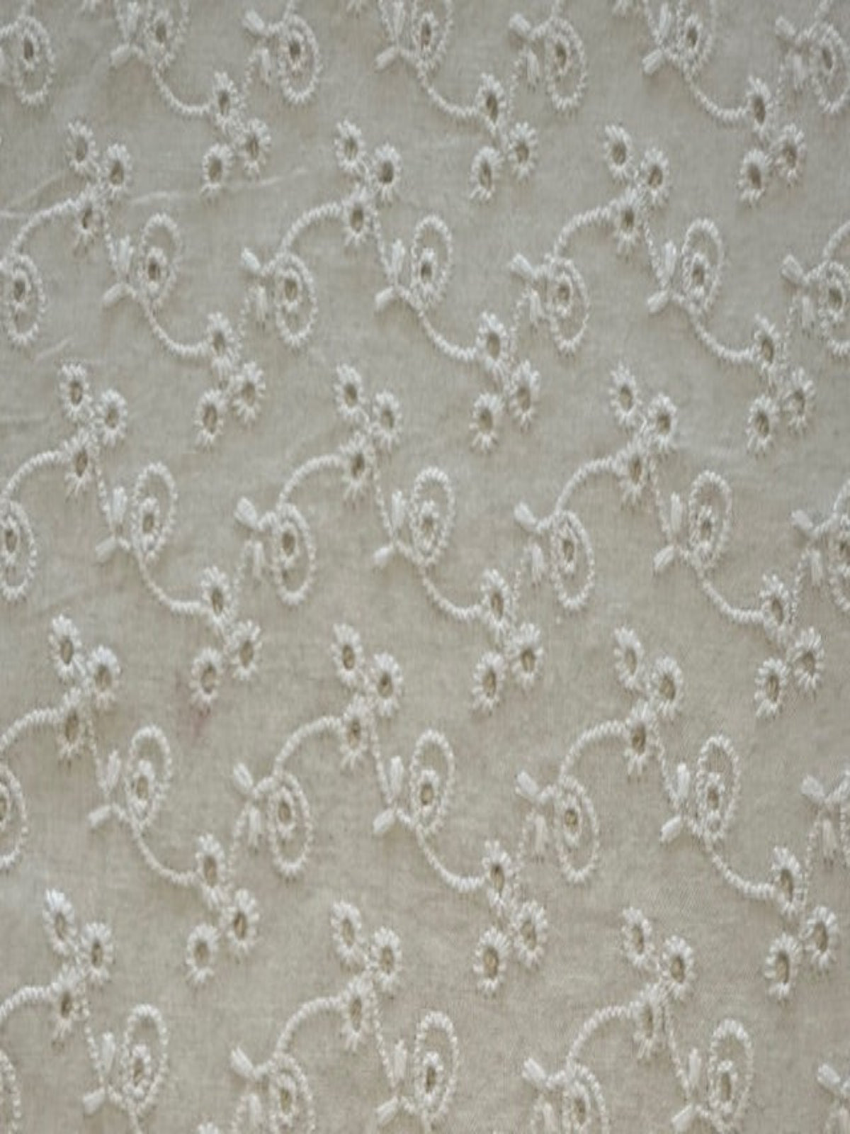 White Trailing Embroidered Broderie Anglaise Cotton Fabric