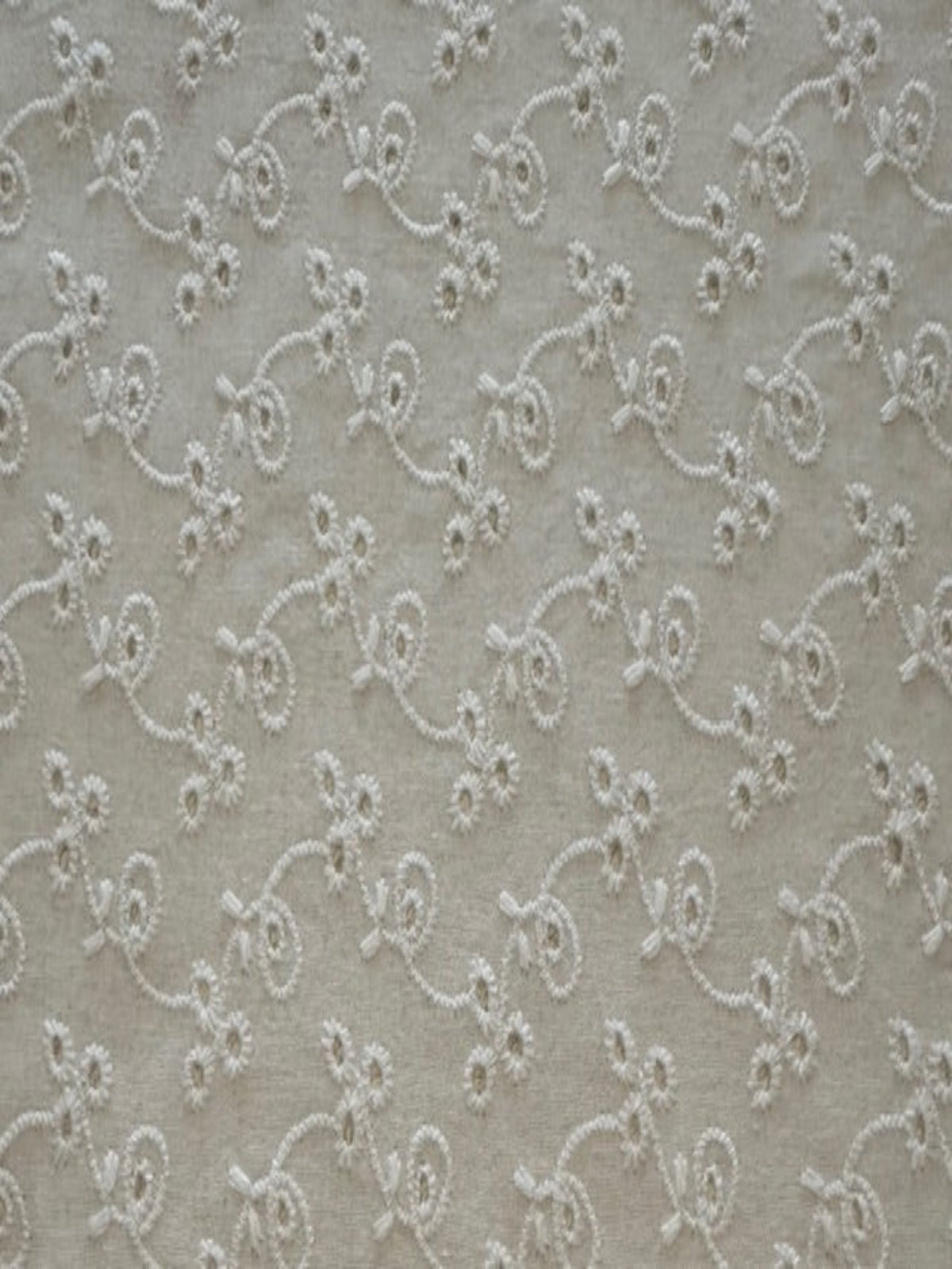 White Trailing Embroidered Broderie Anglaise Cotton Fabric