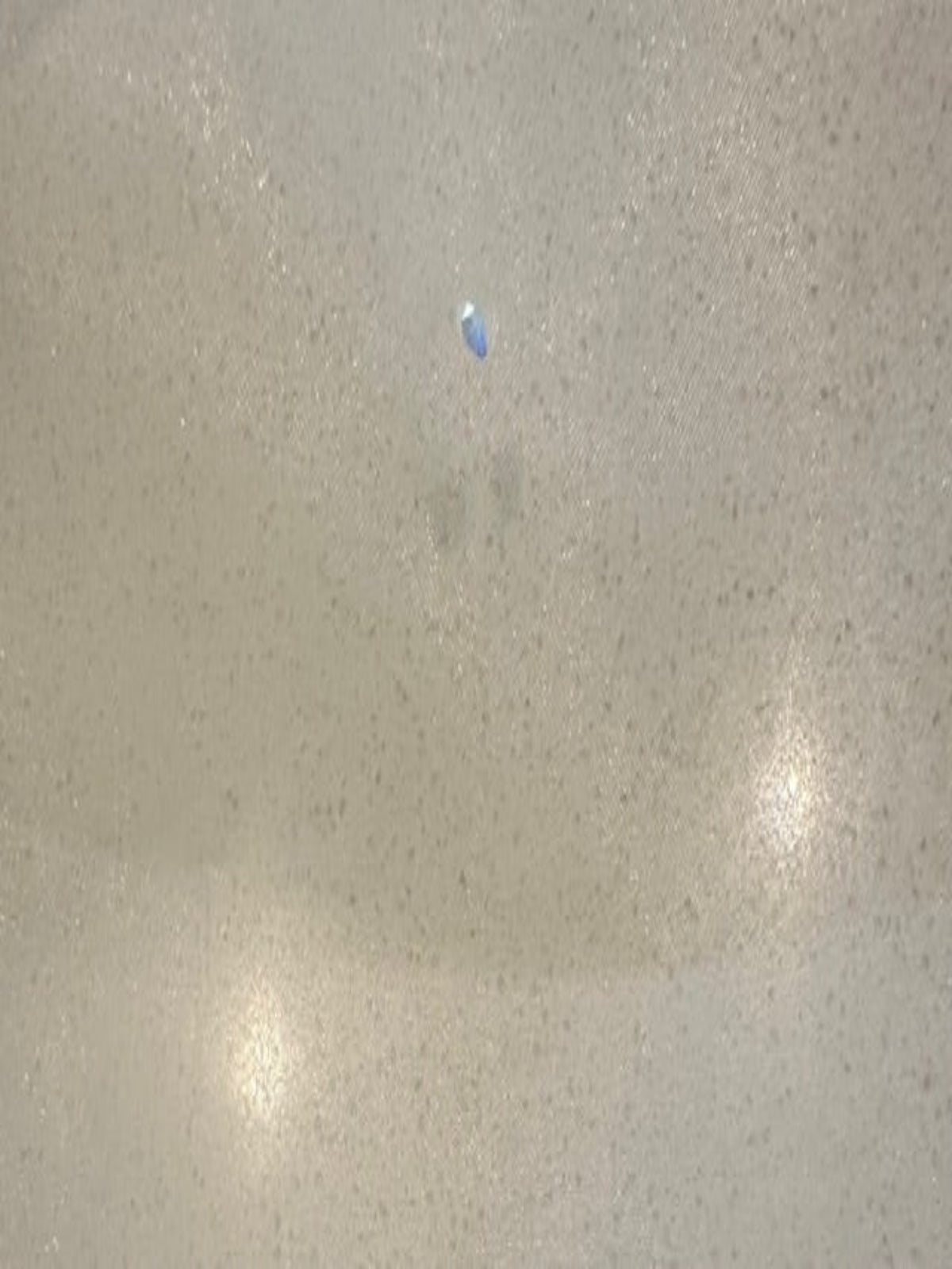 Swarovski Irridescent Crystals on White Matt Organza