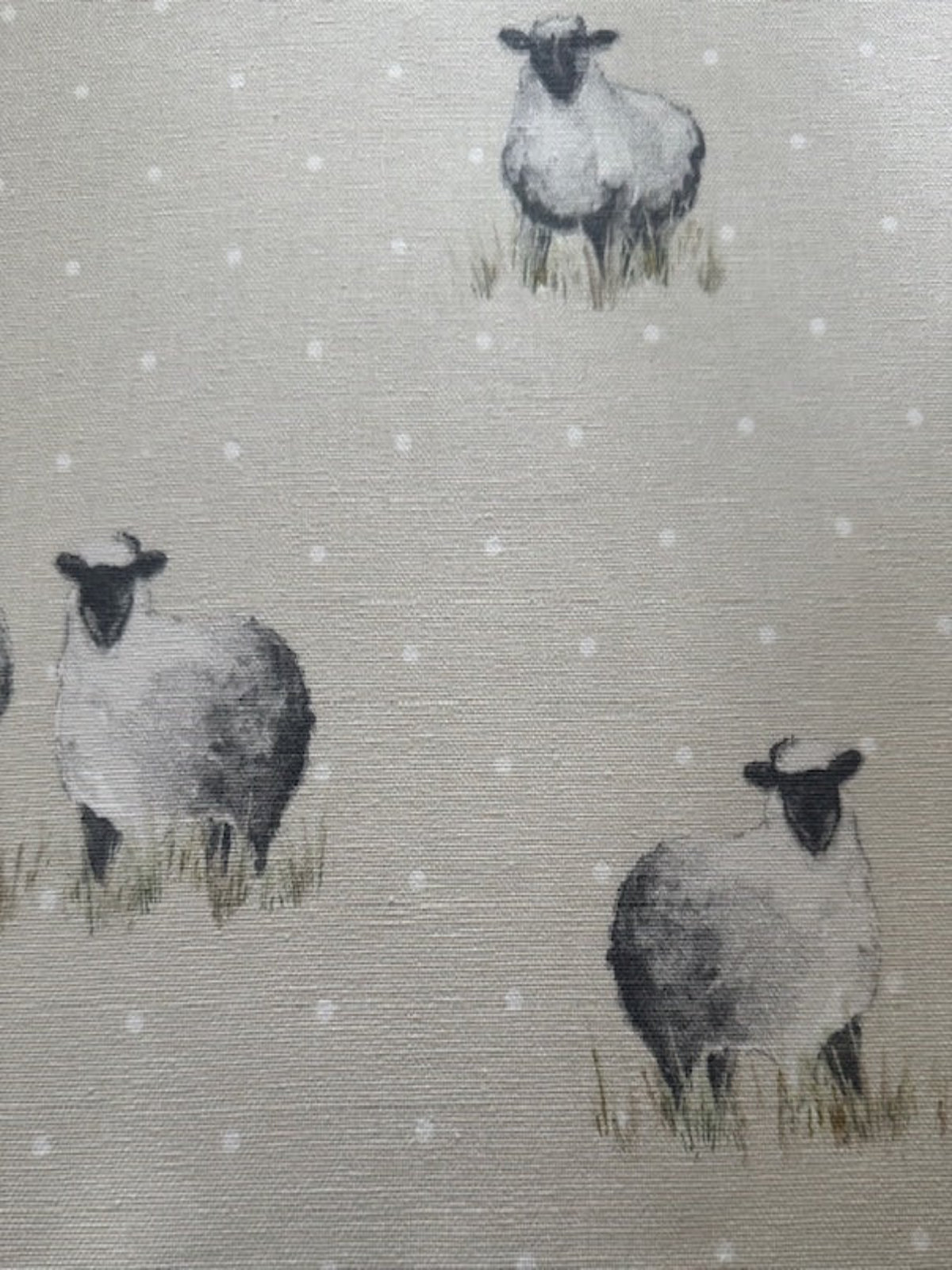 Sheep on Spotted Natural Cotton Furnishing