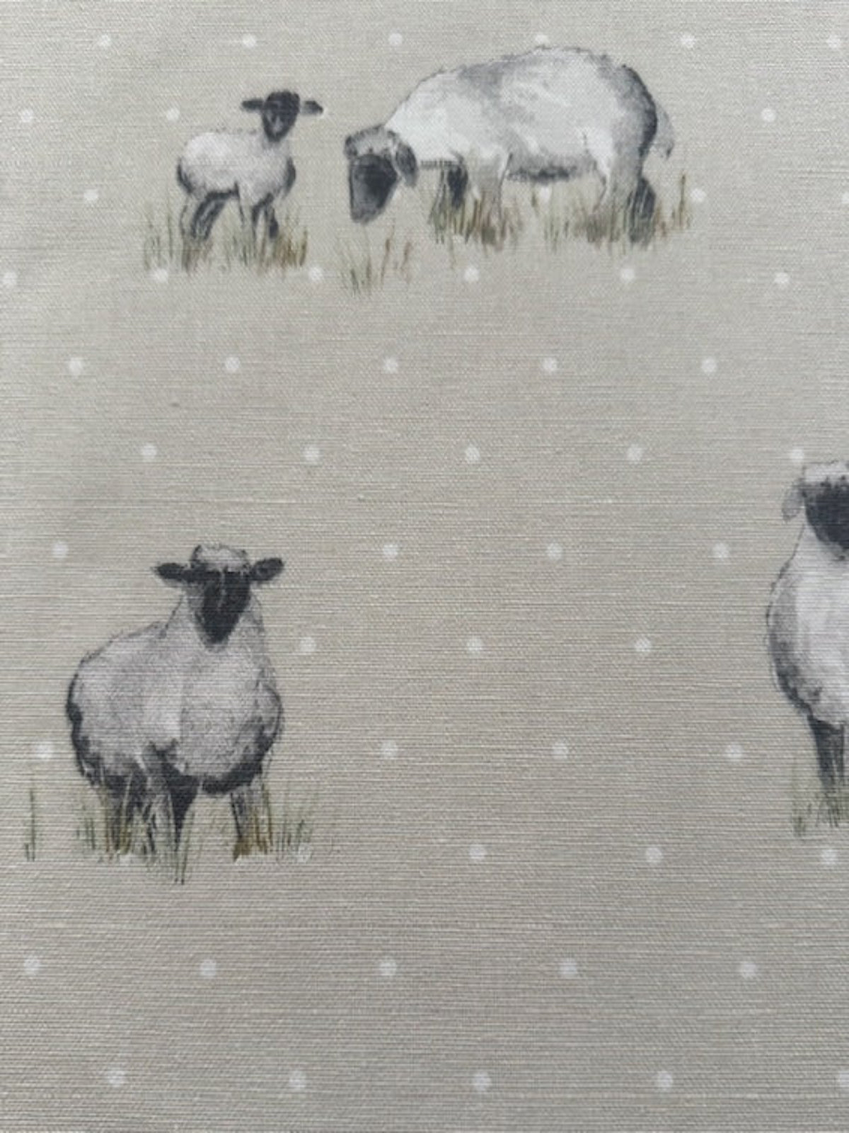 Sheep on Spotted Natural Cotton Furnishing
