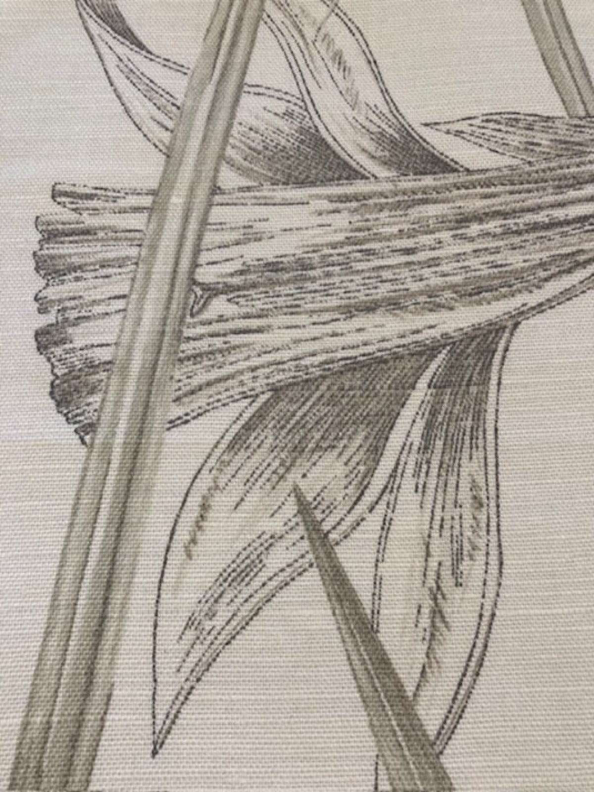 Large Pastel Daffodil on Linen " Harlequin - Poetica"