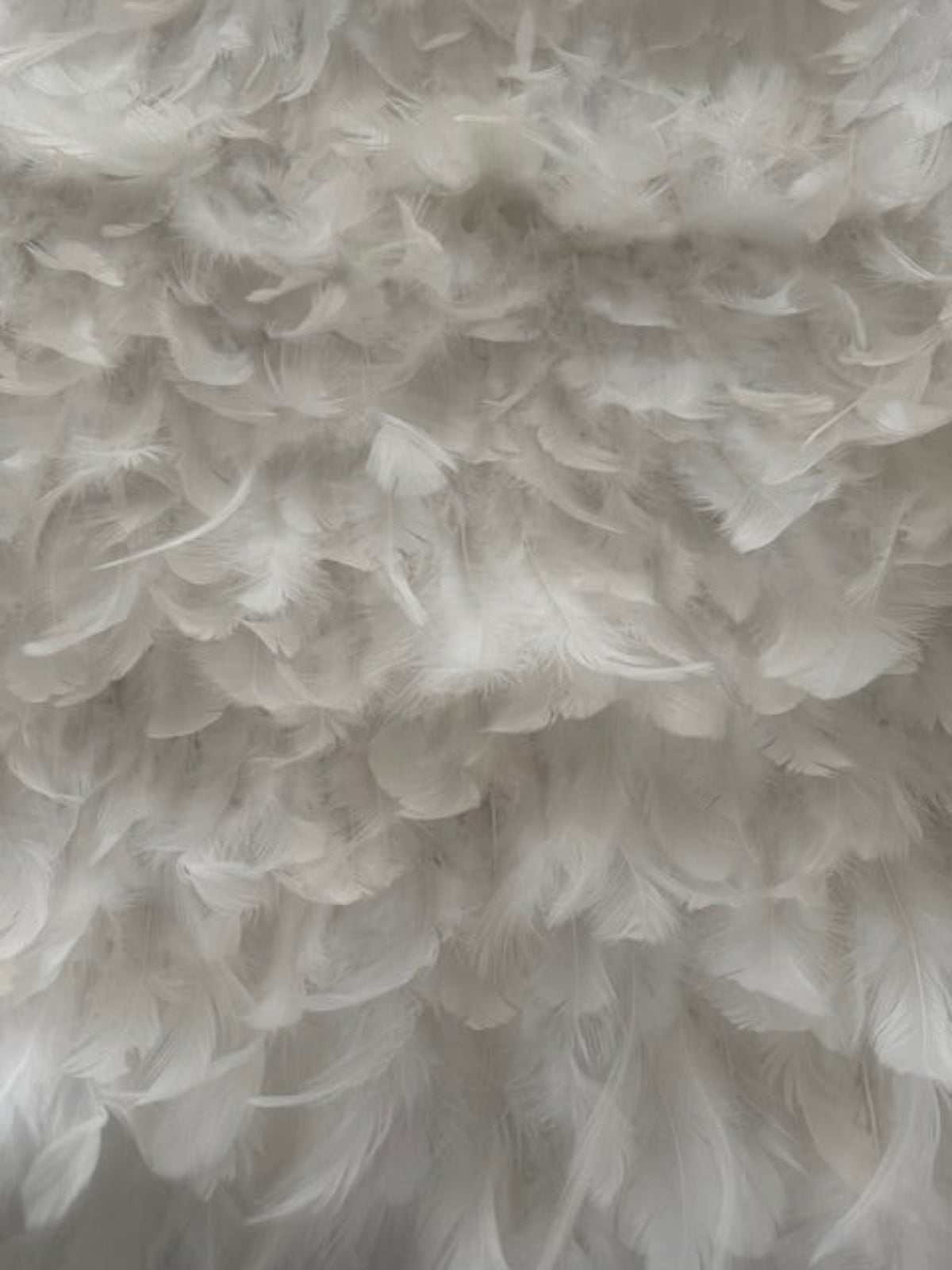 Ivory all over Feather Fabric