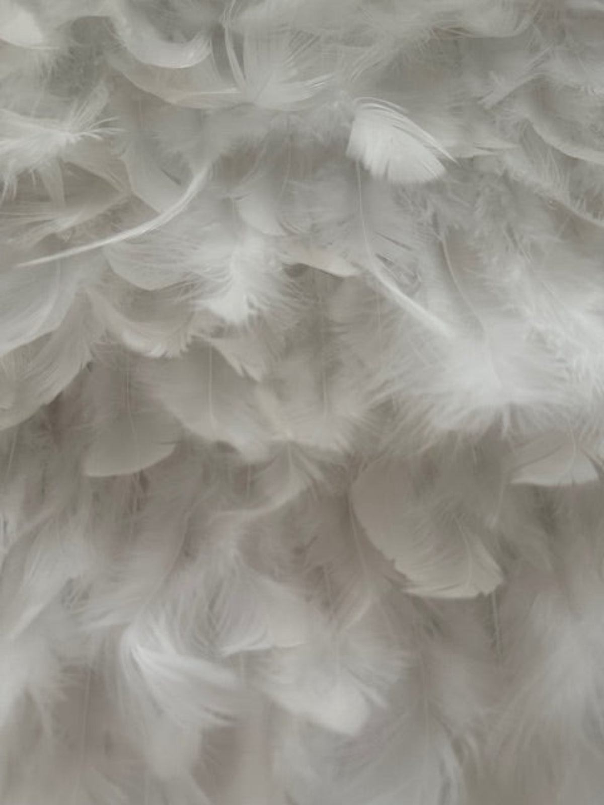 Ivory all over Feather Fabric