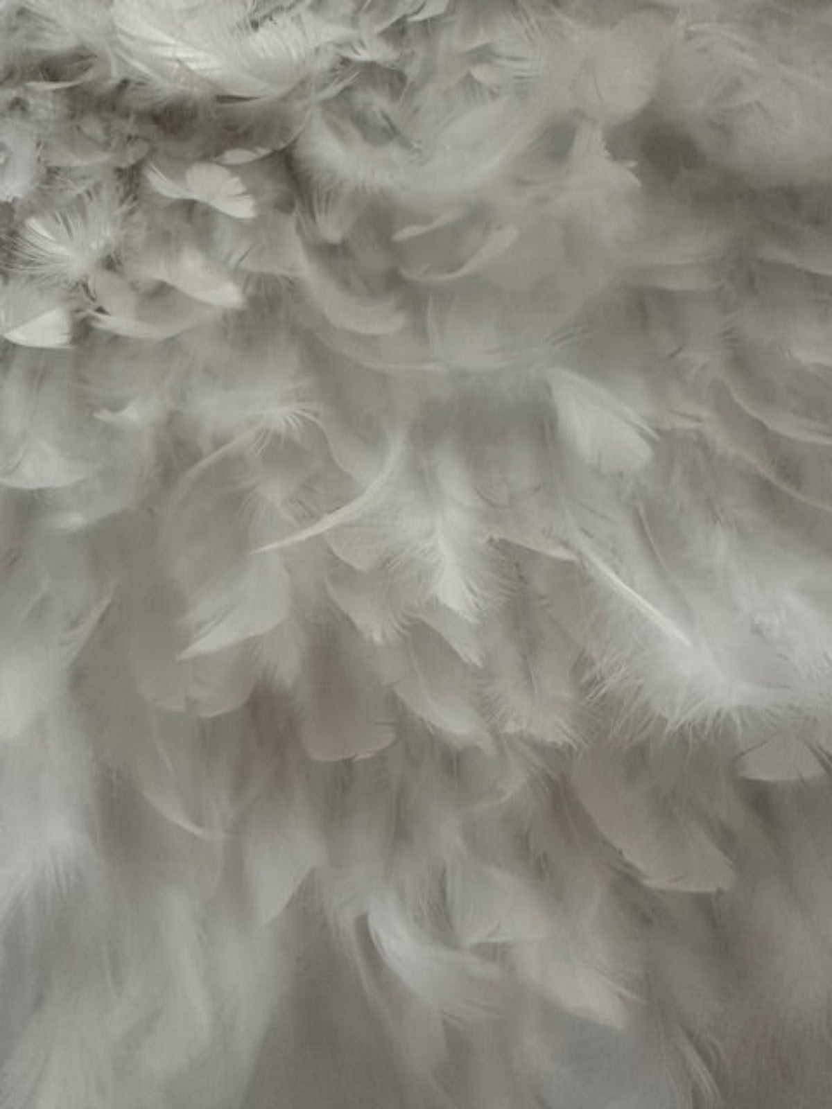 Ivory all over Feather Fabric