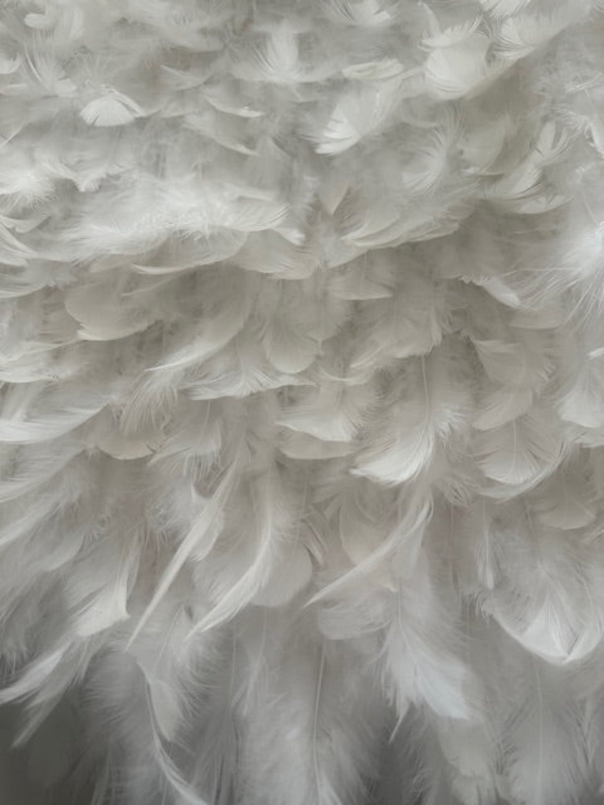 Ivory all over Feather Fabric