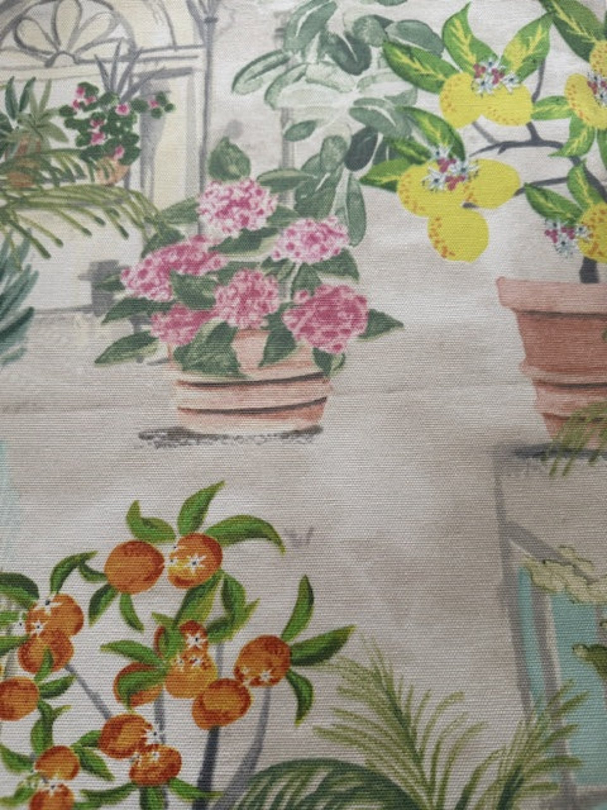 Citrus Plants in Glasshouse Cotton Furnishing - "Porter & Stone - Glasshouse"