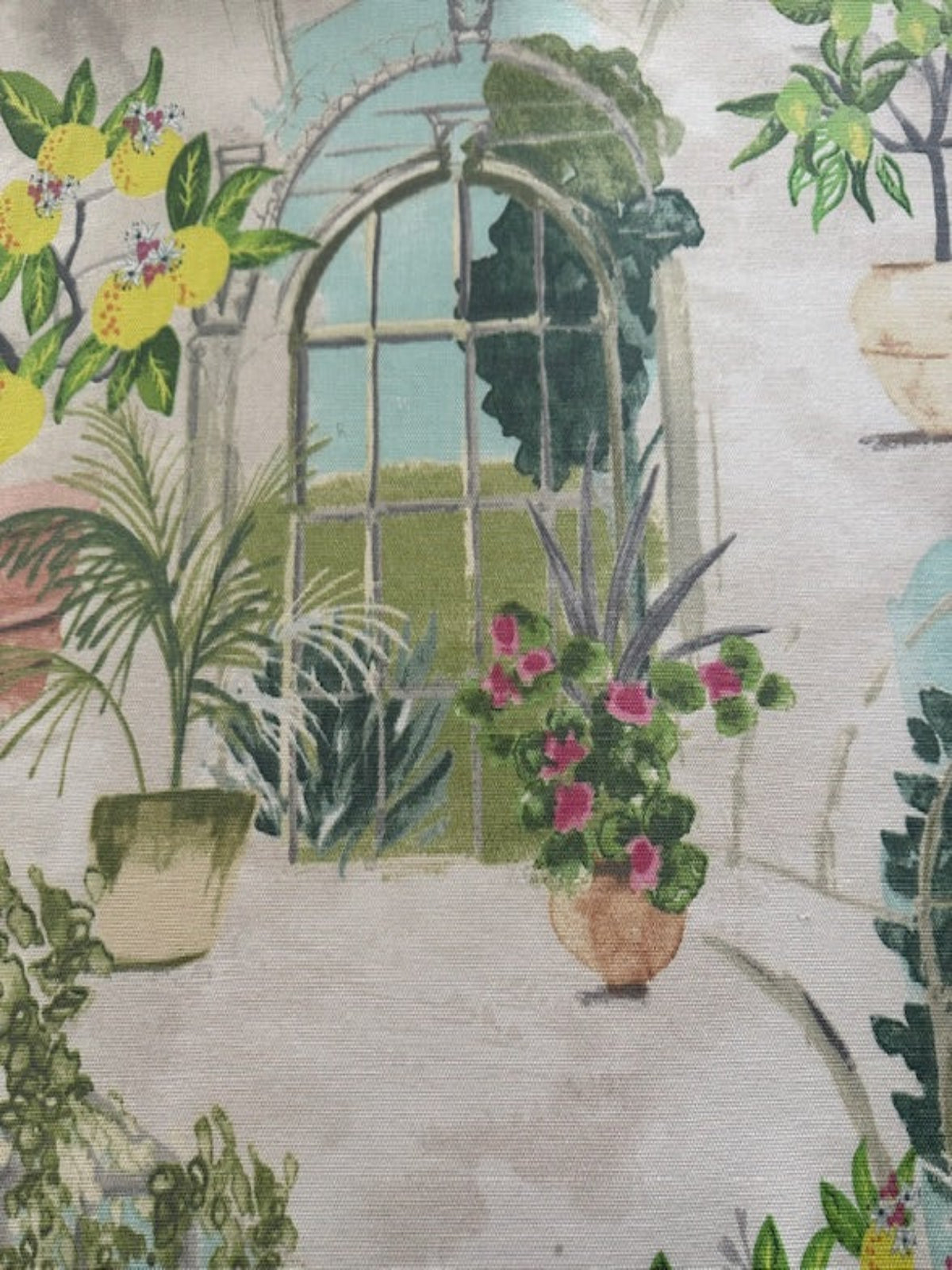 Citrus Plants in Glasshouse Cotton Furnishing - "Porter & Stone - Glasshouse"