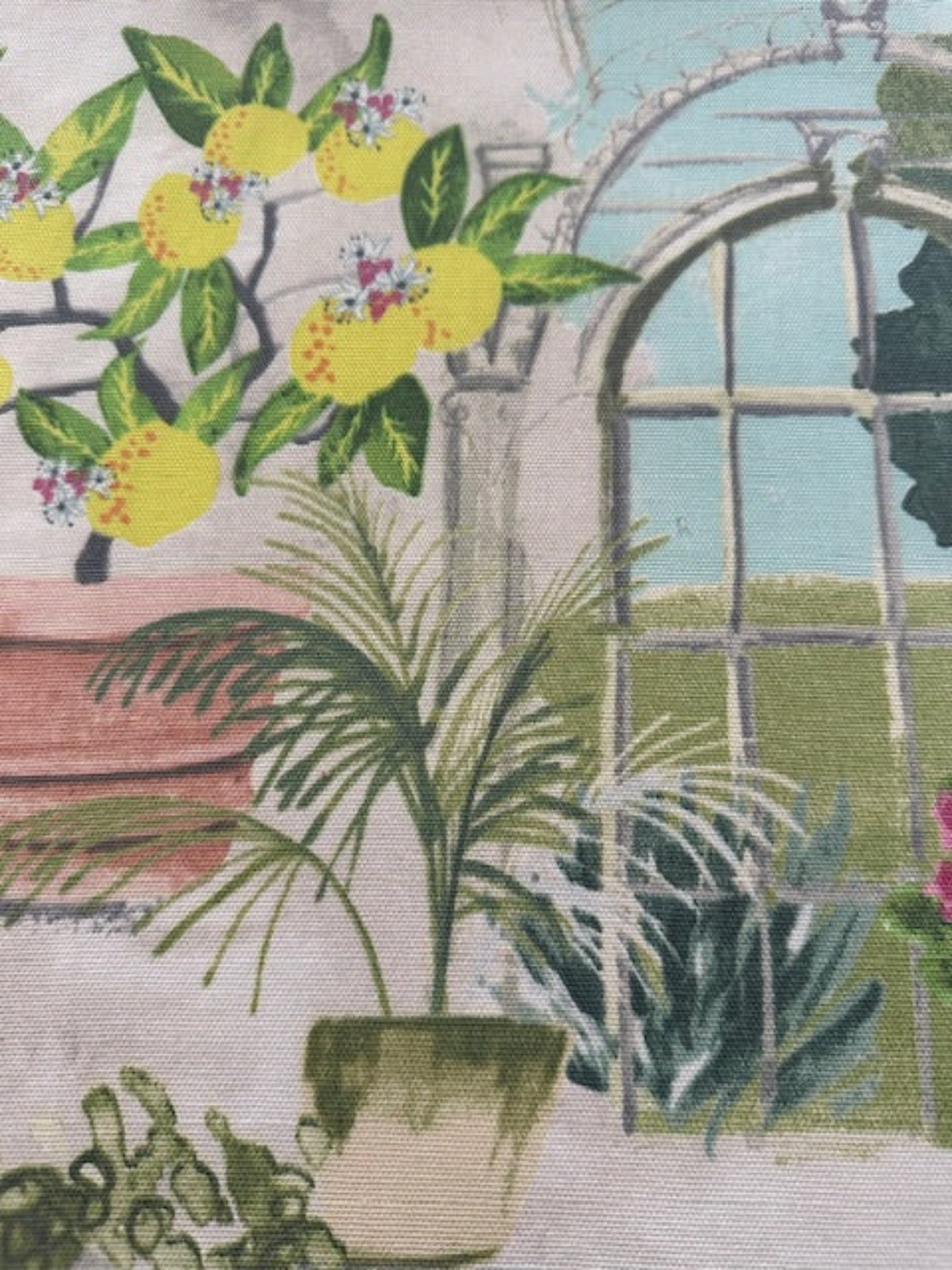 Citrus Plants in Glasshouse Cotton Furnishing - "Porter & Stone - Glasshouse"