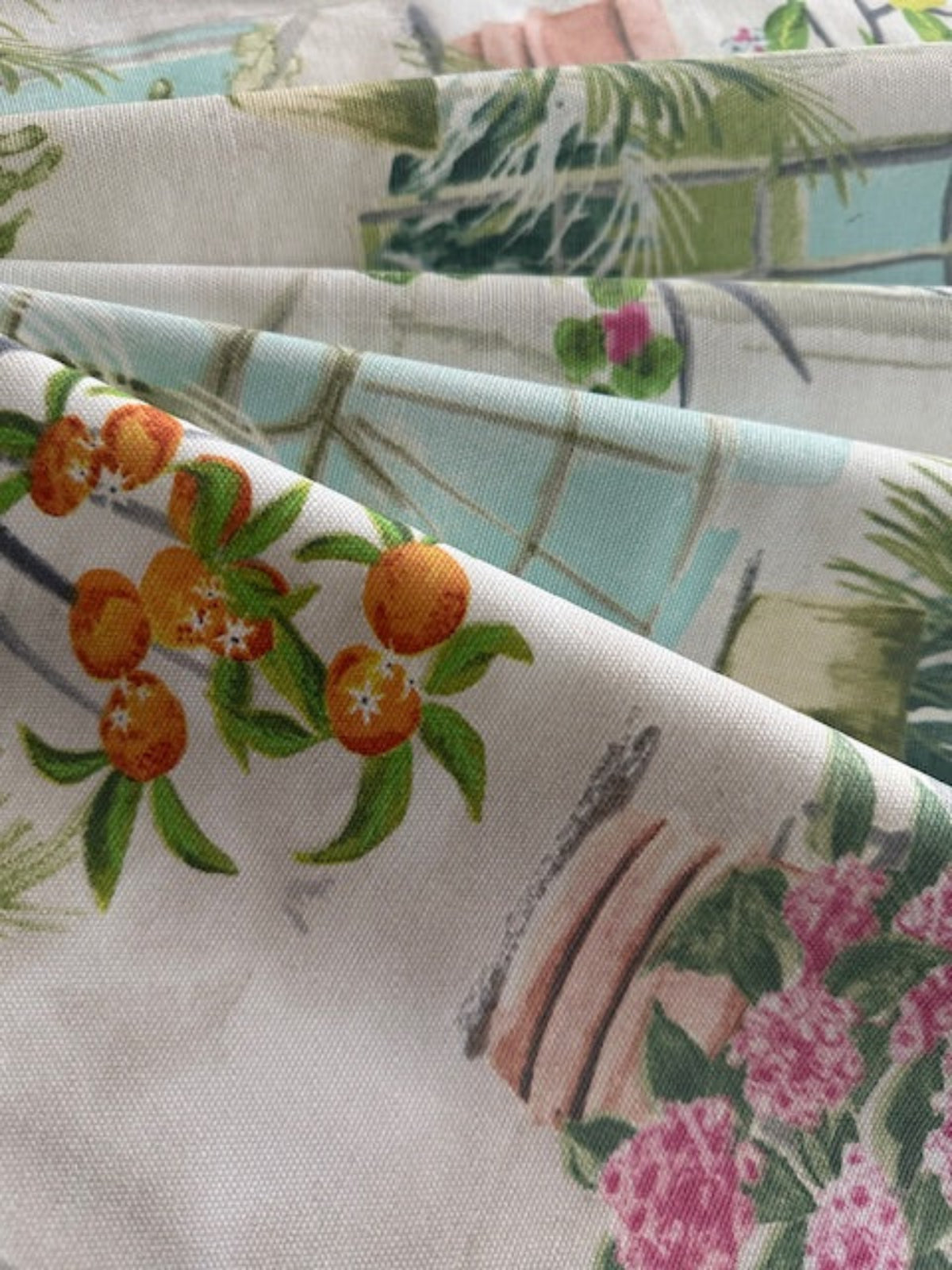 Citrus Plants in Glasshouse Cotton Furnishing - "Porter & Stone - Glasshouse"