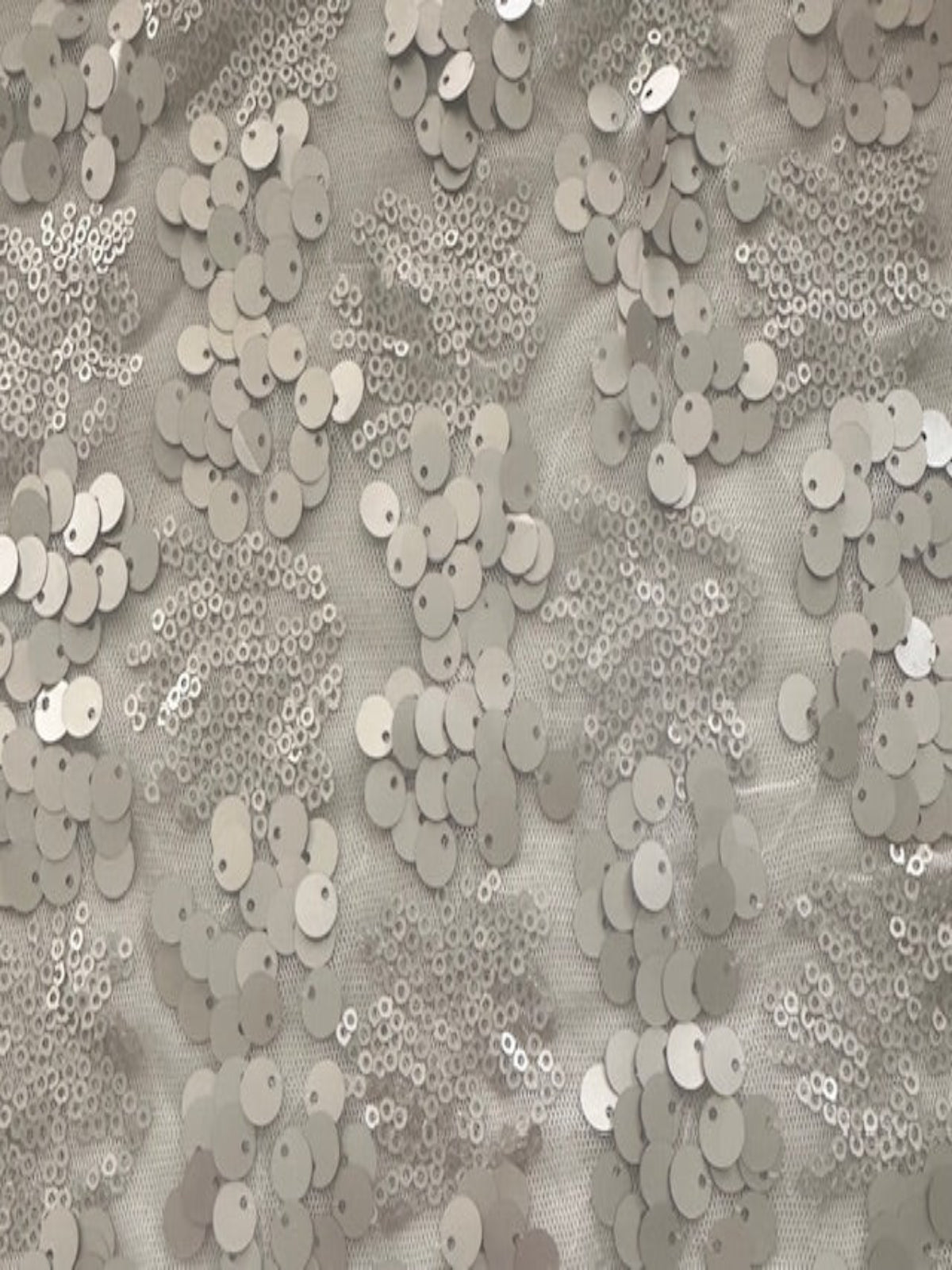 Two Sized Pale Gold Sequin on Nude Mesh