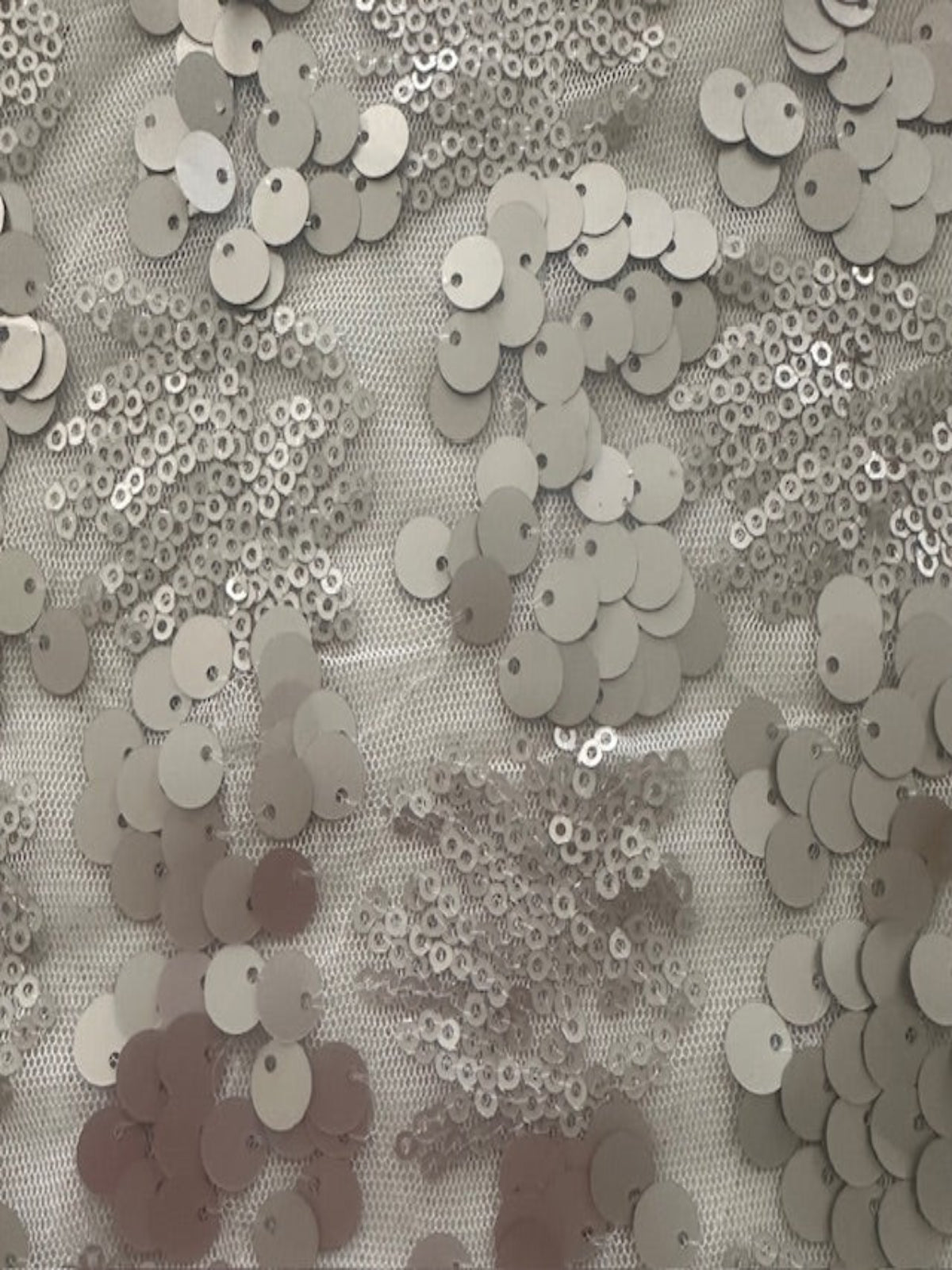 Two Sized Pale Gold Sequin on Nude Mesh