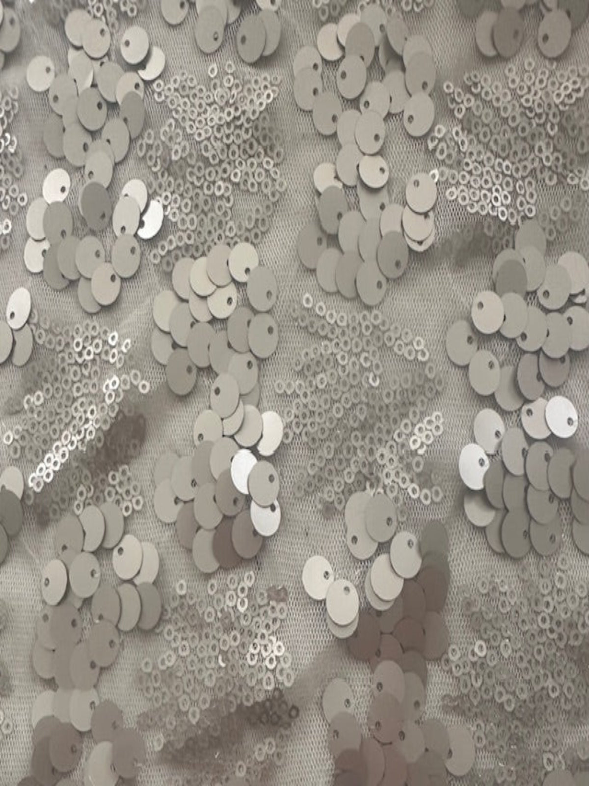 Two Sized Pale Gold Sequin on Nude Mesh