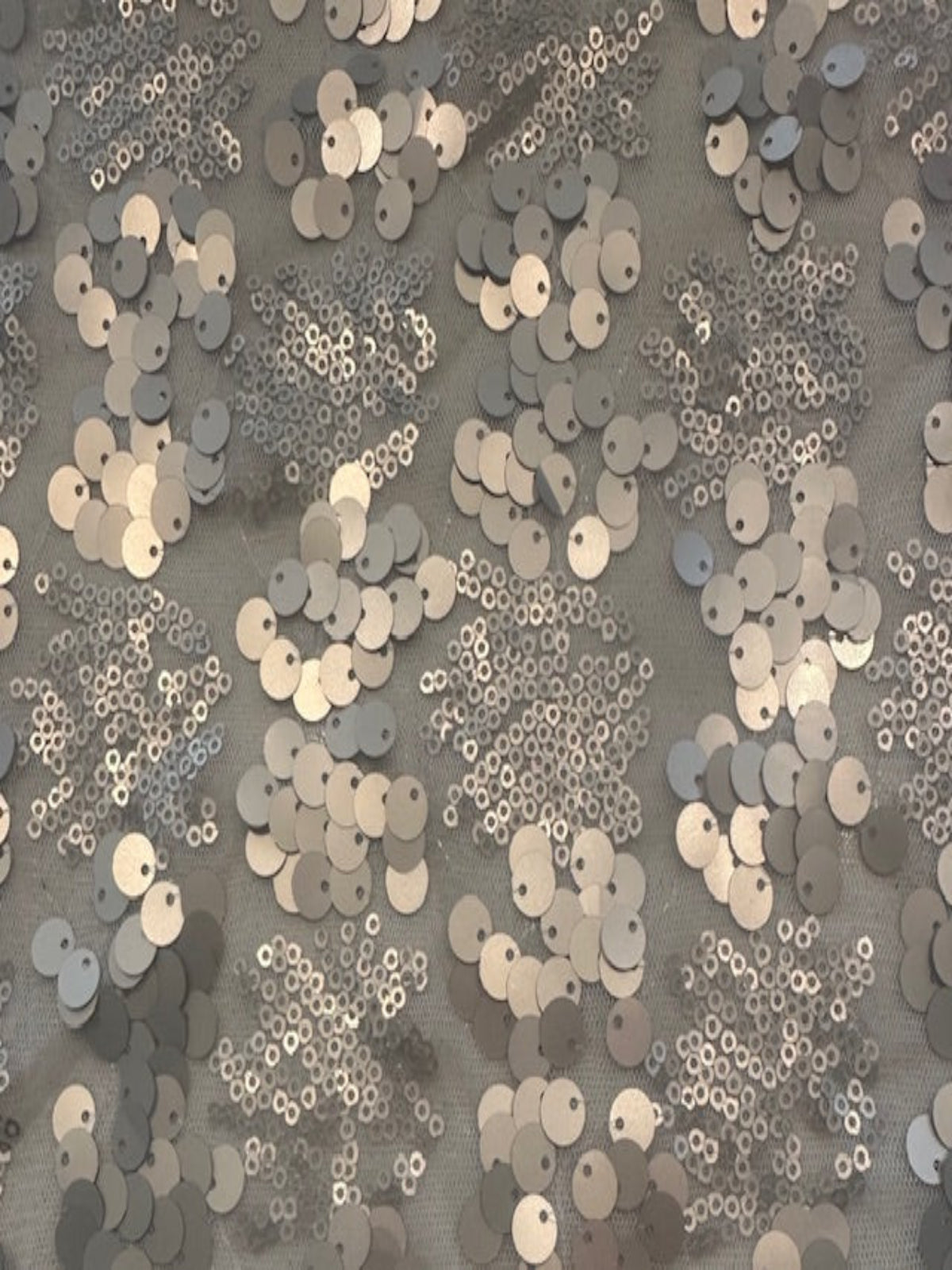 Two Sized Pale Gold Sequin on Nude Mesh