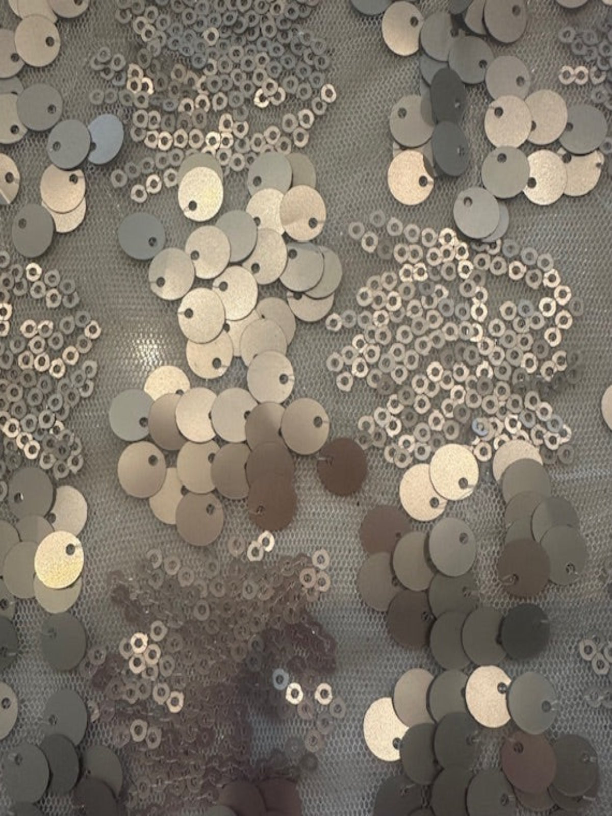 Two Sized Pale Gold Sequin on Nude Mesh