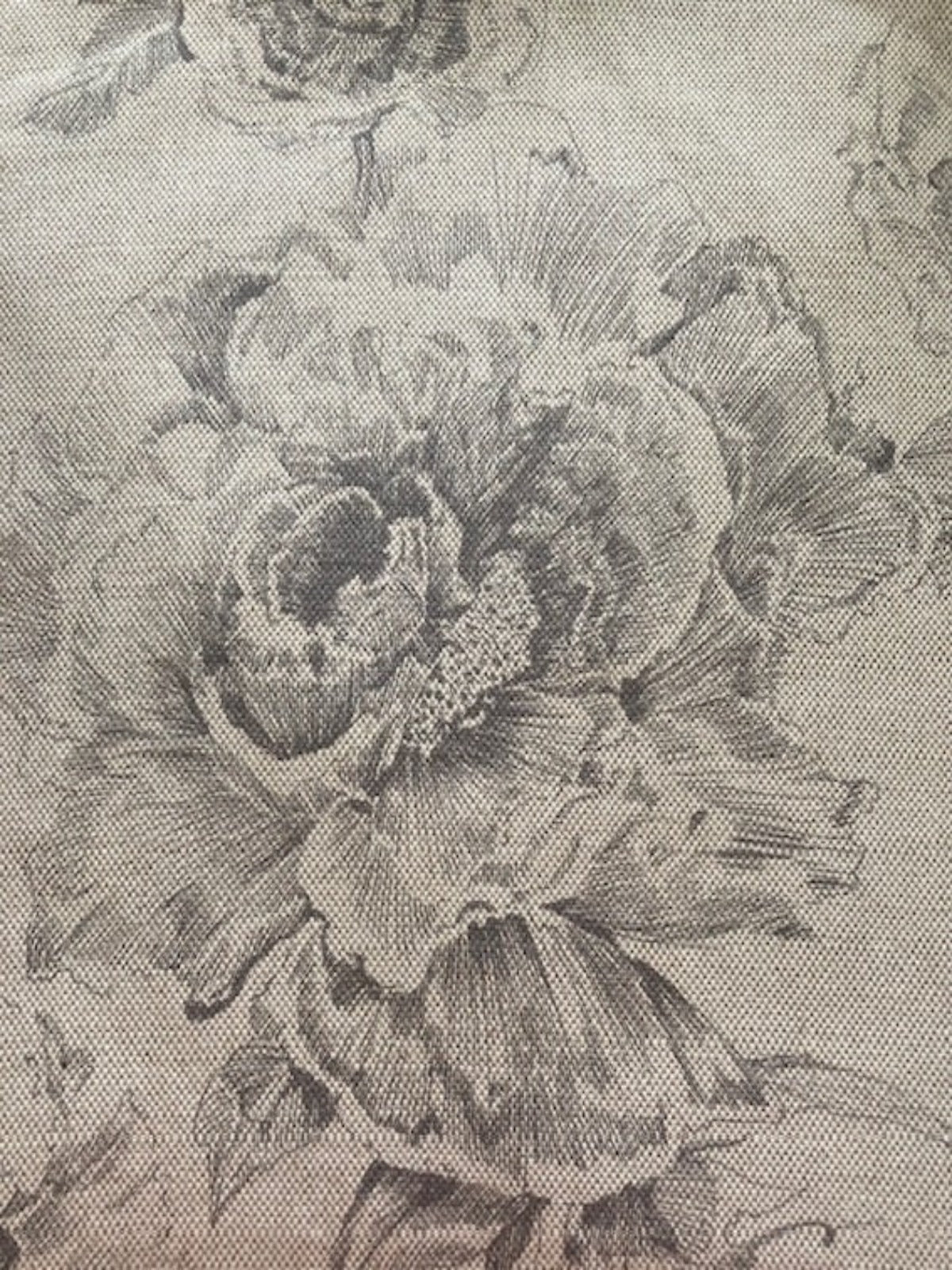 Grey Pencil Sketch Flower on Cotton/Linen Hopsack – "Art of the Loom – Chatsworth"