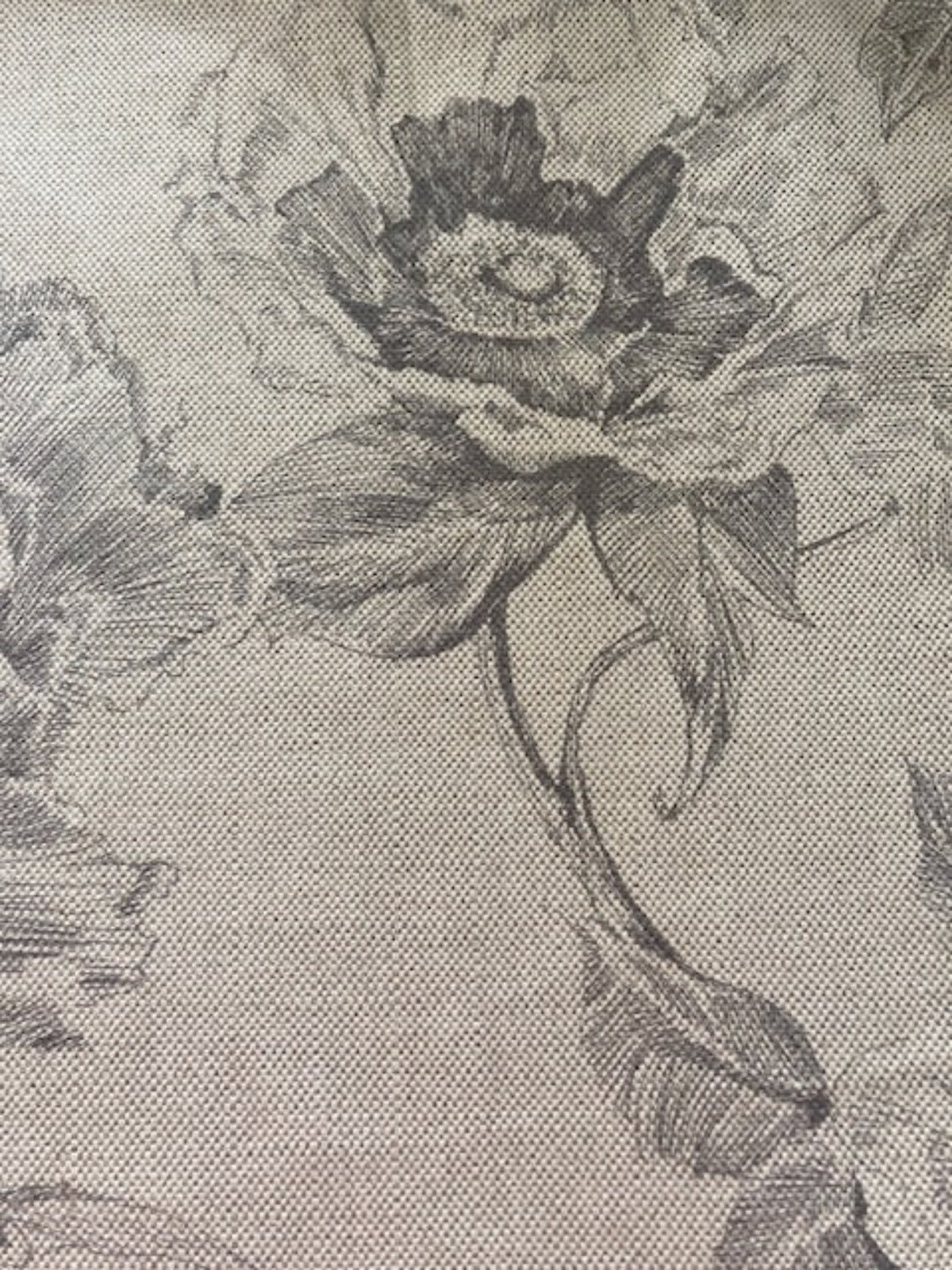 Grey Pencil Sketch Flower on Cotton/Linen Hopsack – "Art of the Loom – Chatsworth"