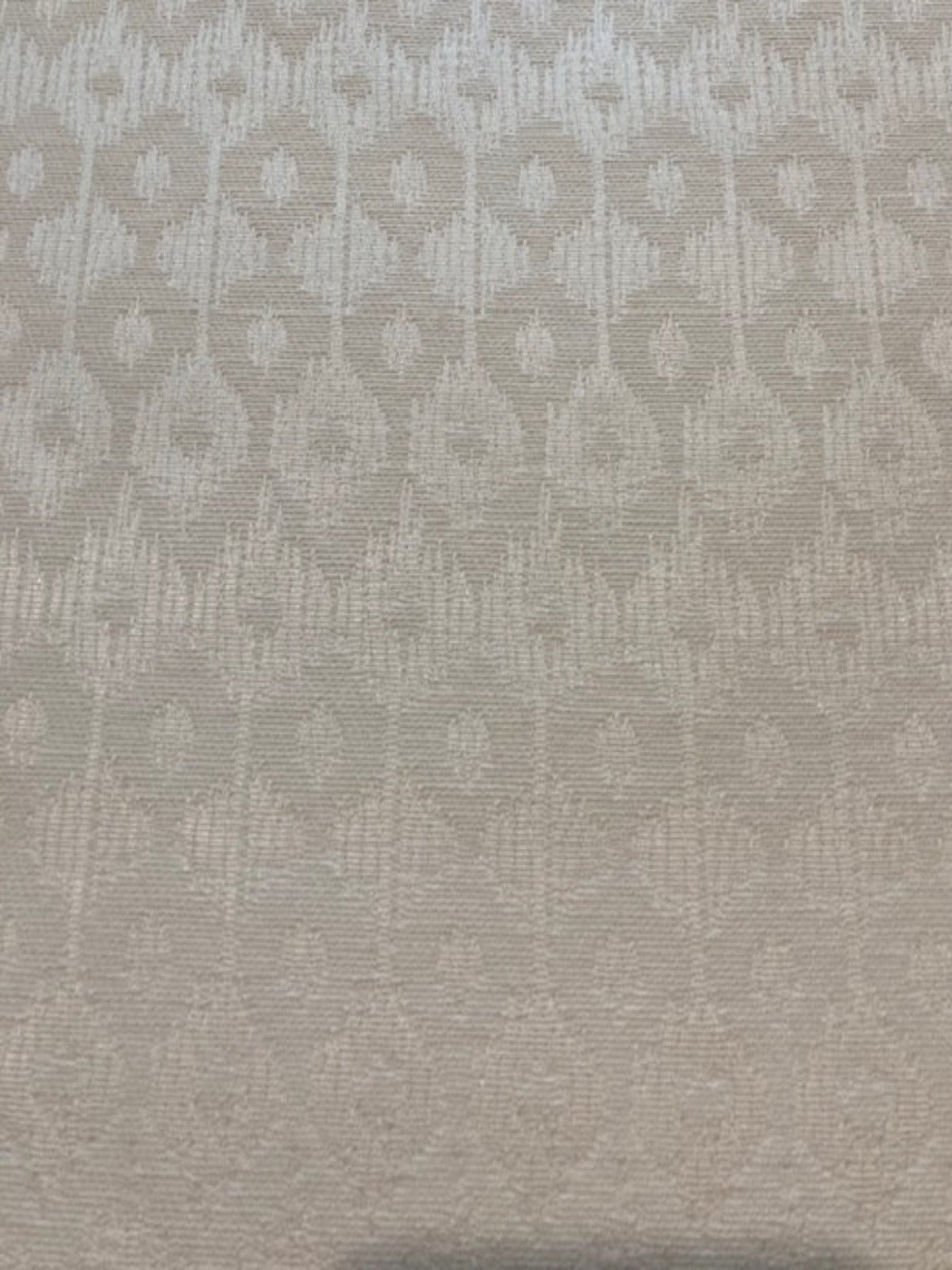 Ivory on Ivory Cotton Damask " Clarke & Clarke- Chico Bianco"