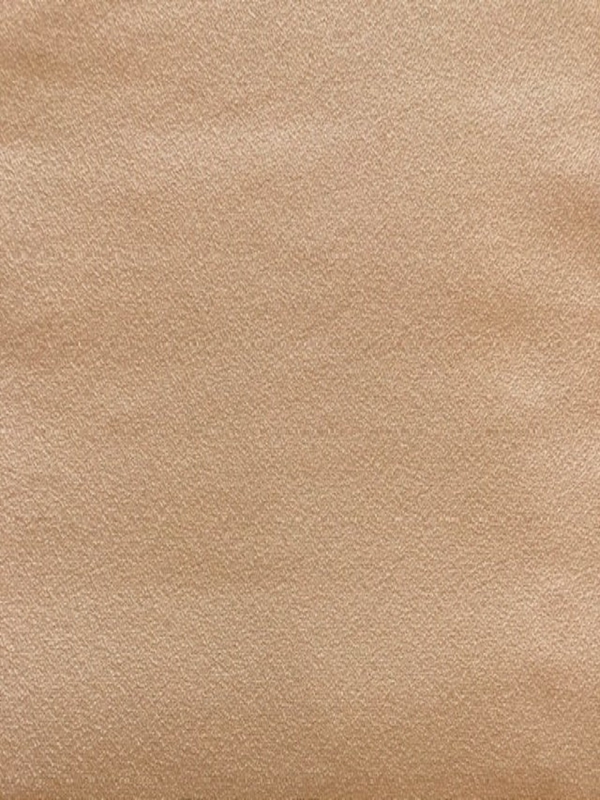 Nude Woven Soft Handle Crepe with some Stretch