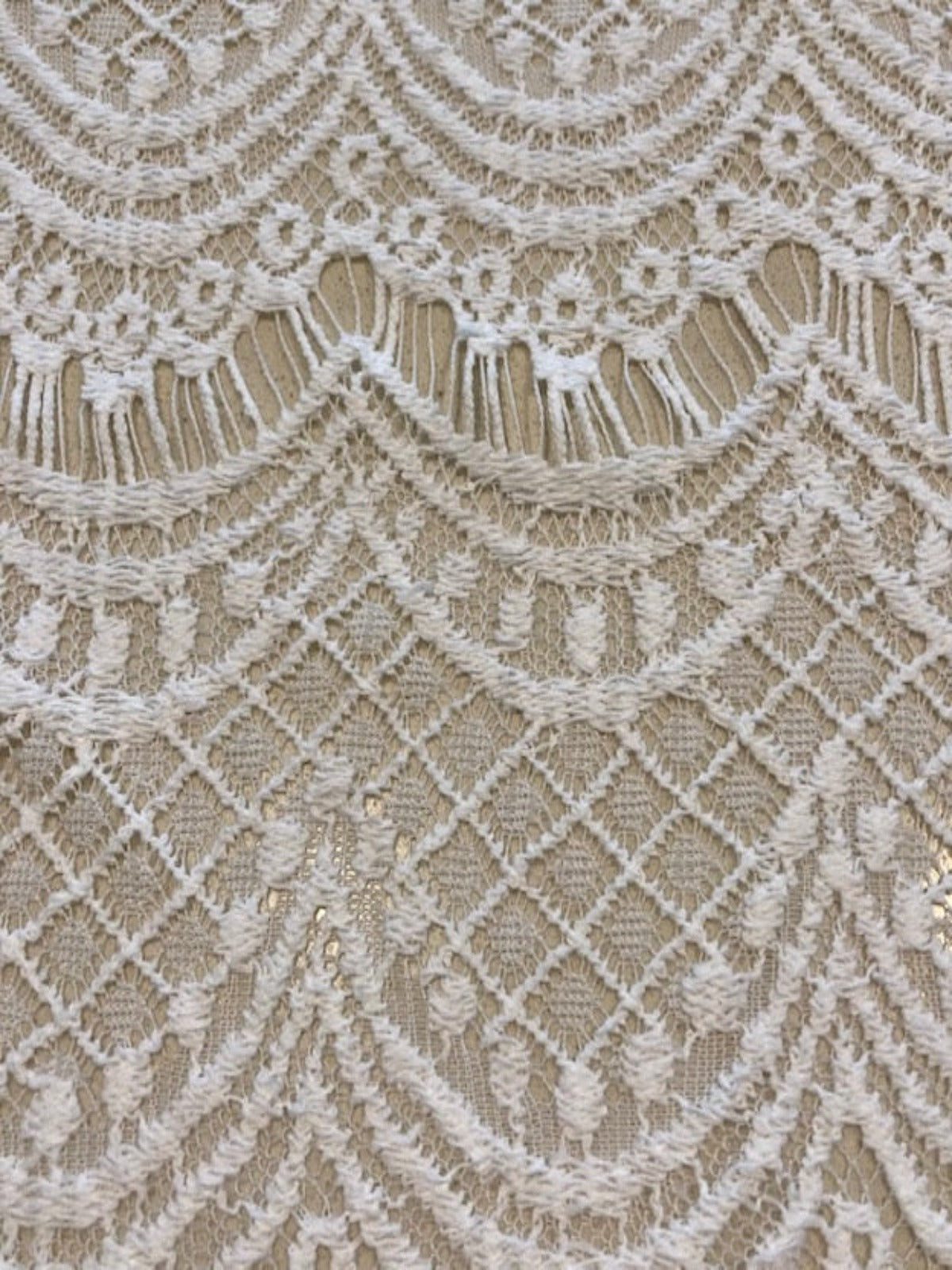 Off White Scalloped Allover Lace