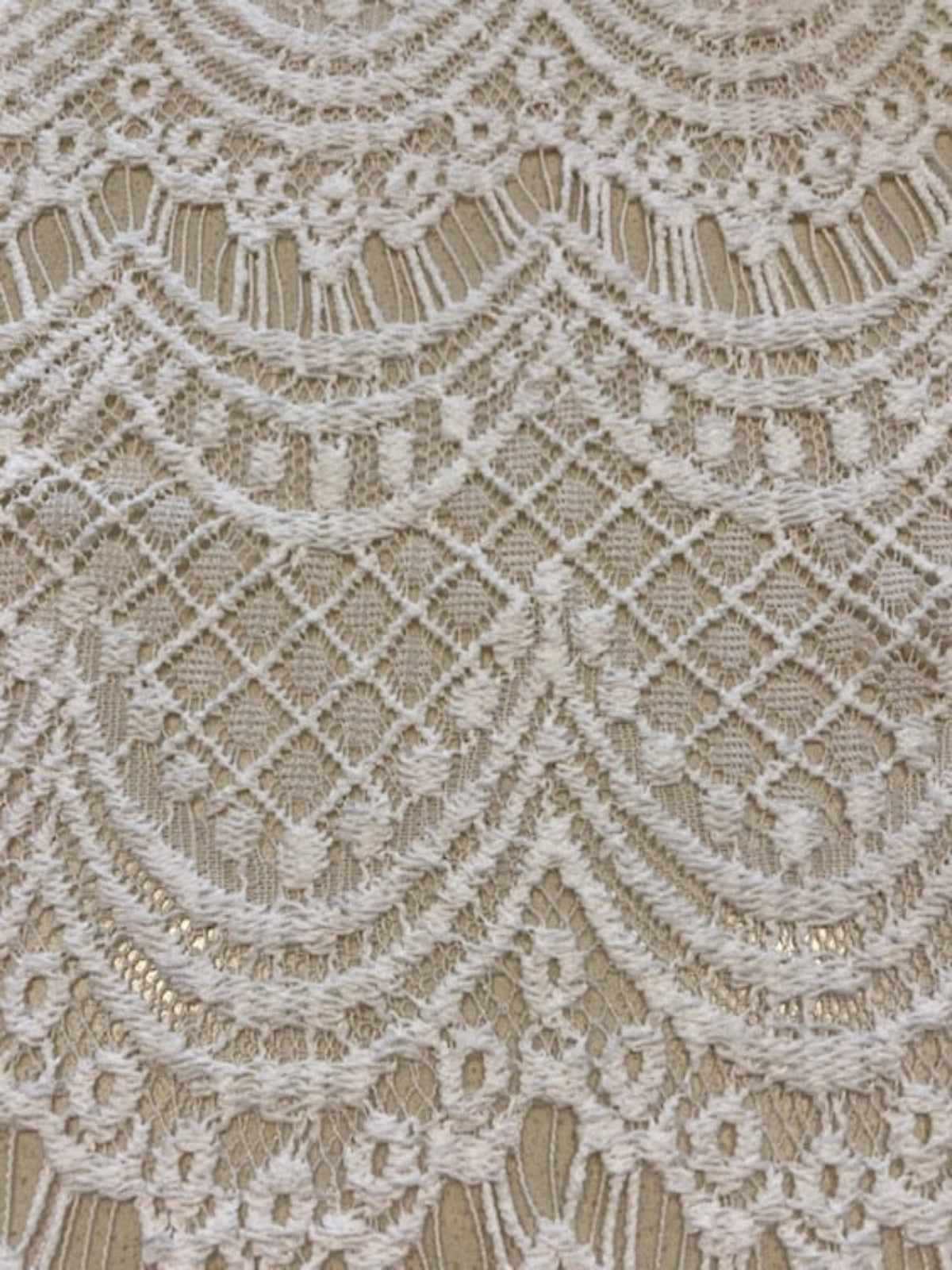 Off White Scalloped Allover Lace