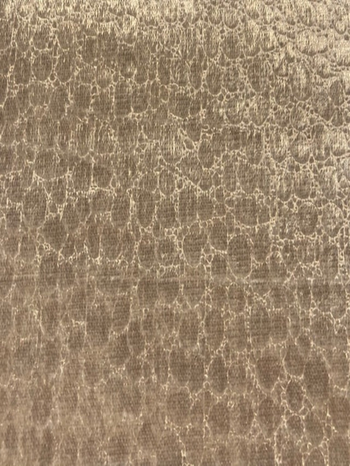 Cream Snake Skin Ivory Velvet