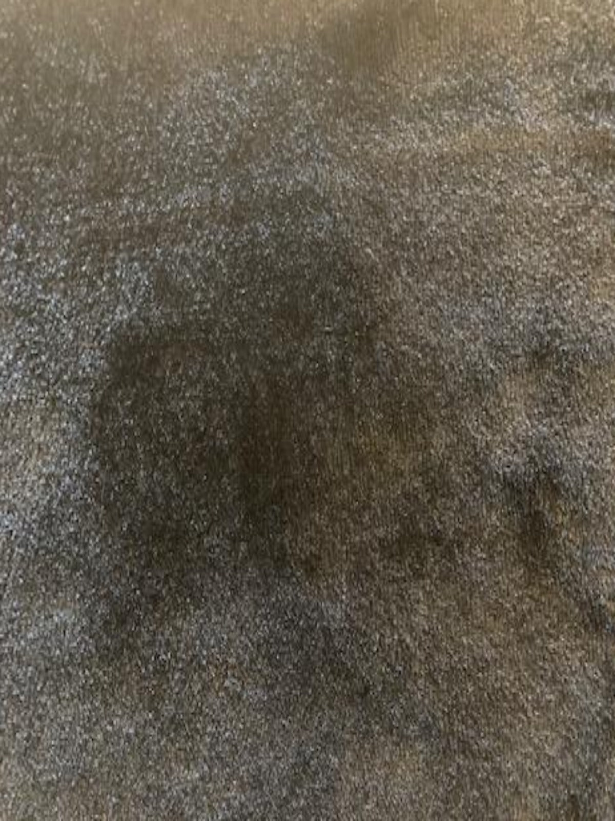 Black Double Sided Warm Fleece