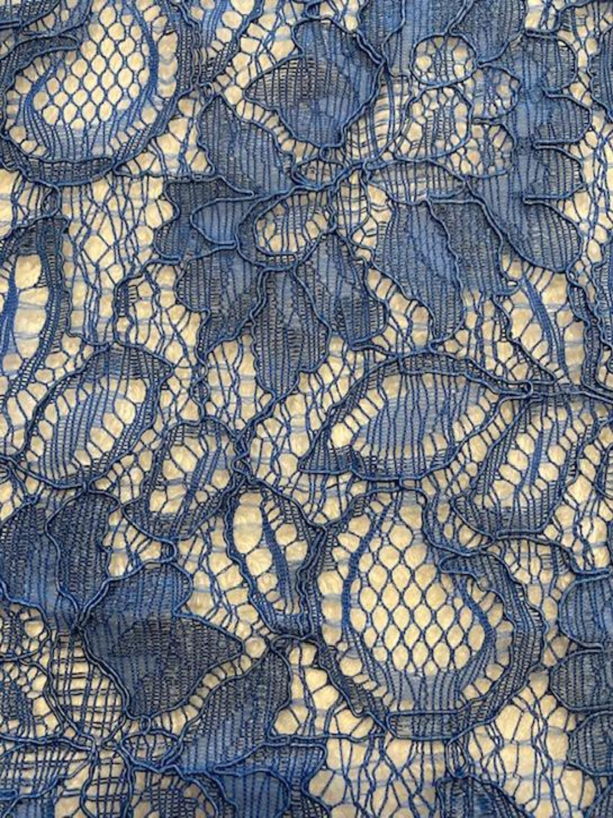 Blue Corded Lace with Scalloped Edge