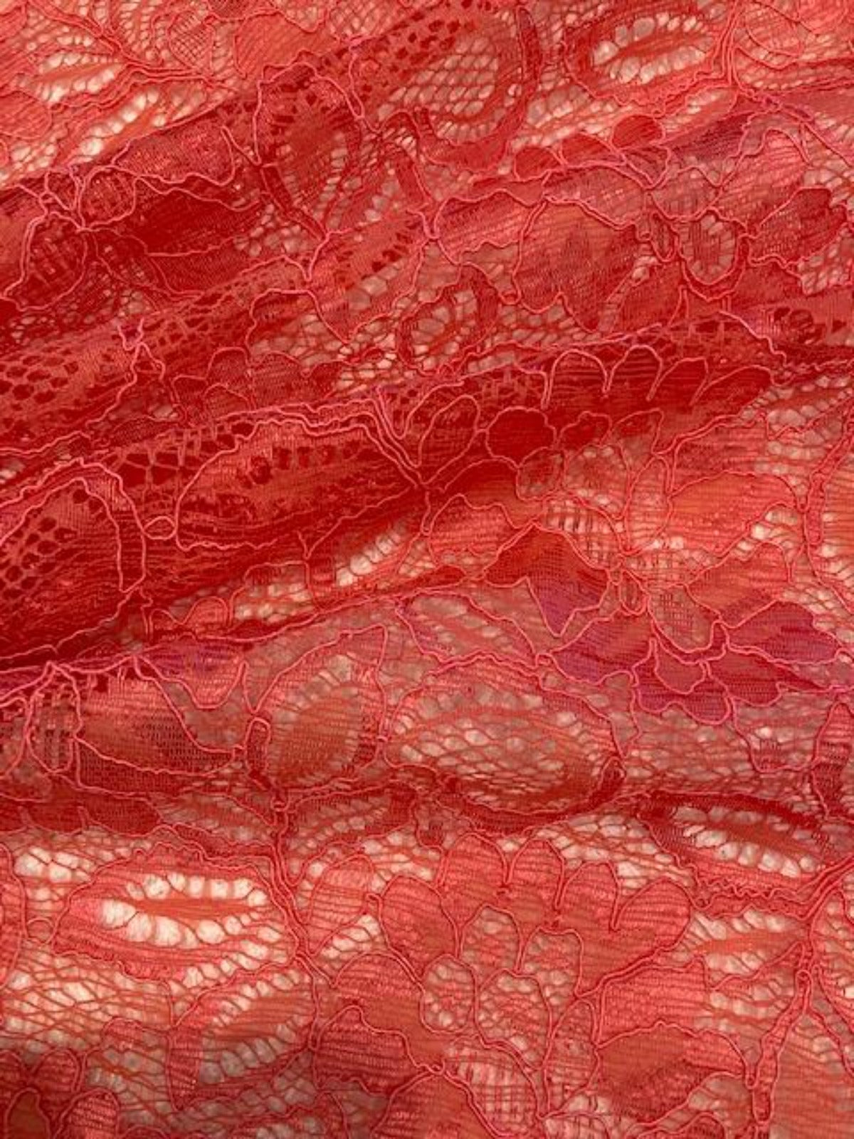 Coral Corded Lace with Scalloped Edge
