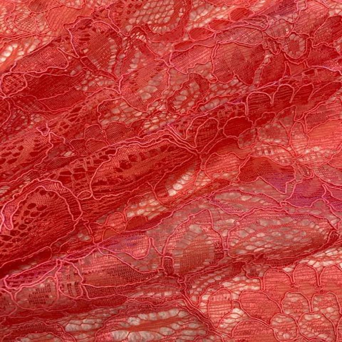 Coral Corded Lace with Scalloped Edge