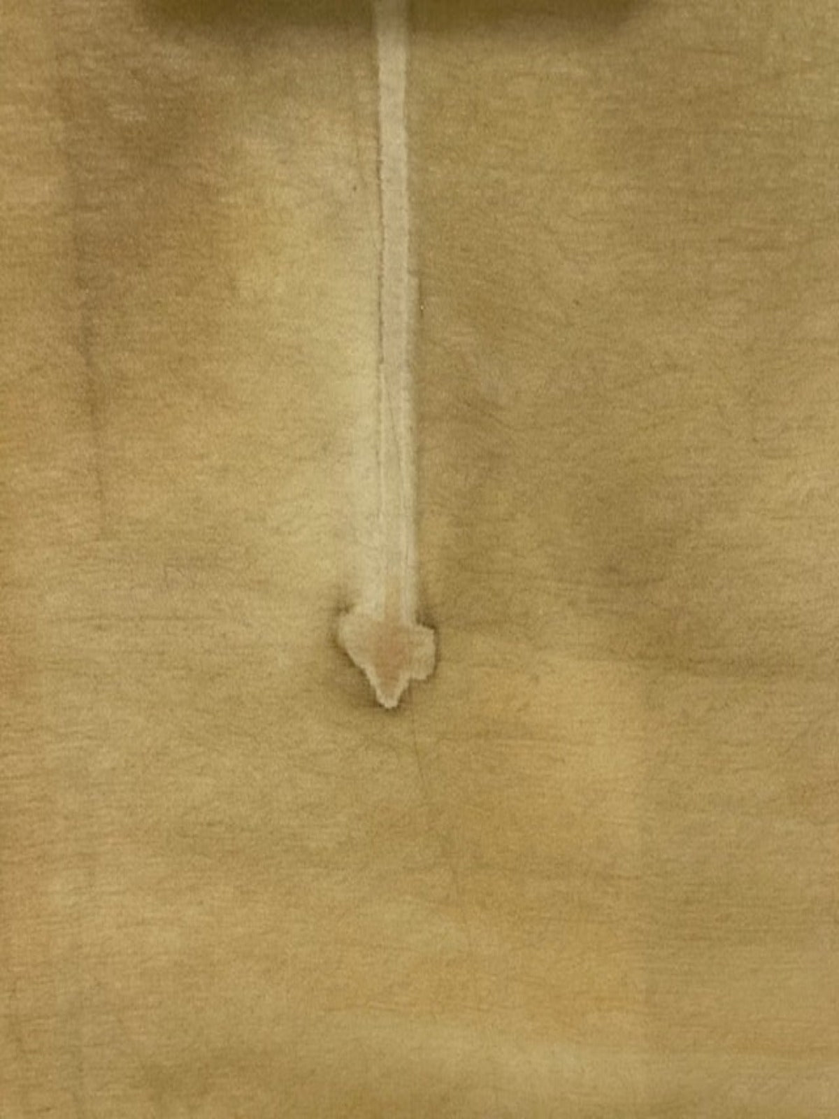 Pale Gold Chiffon with Watermark Print