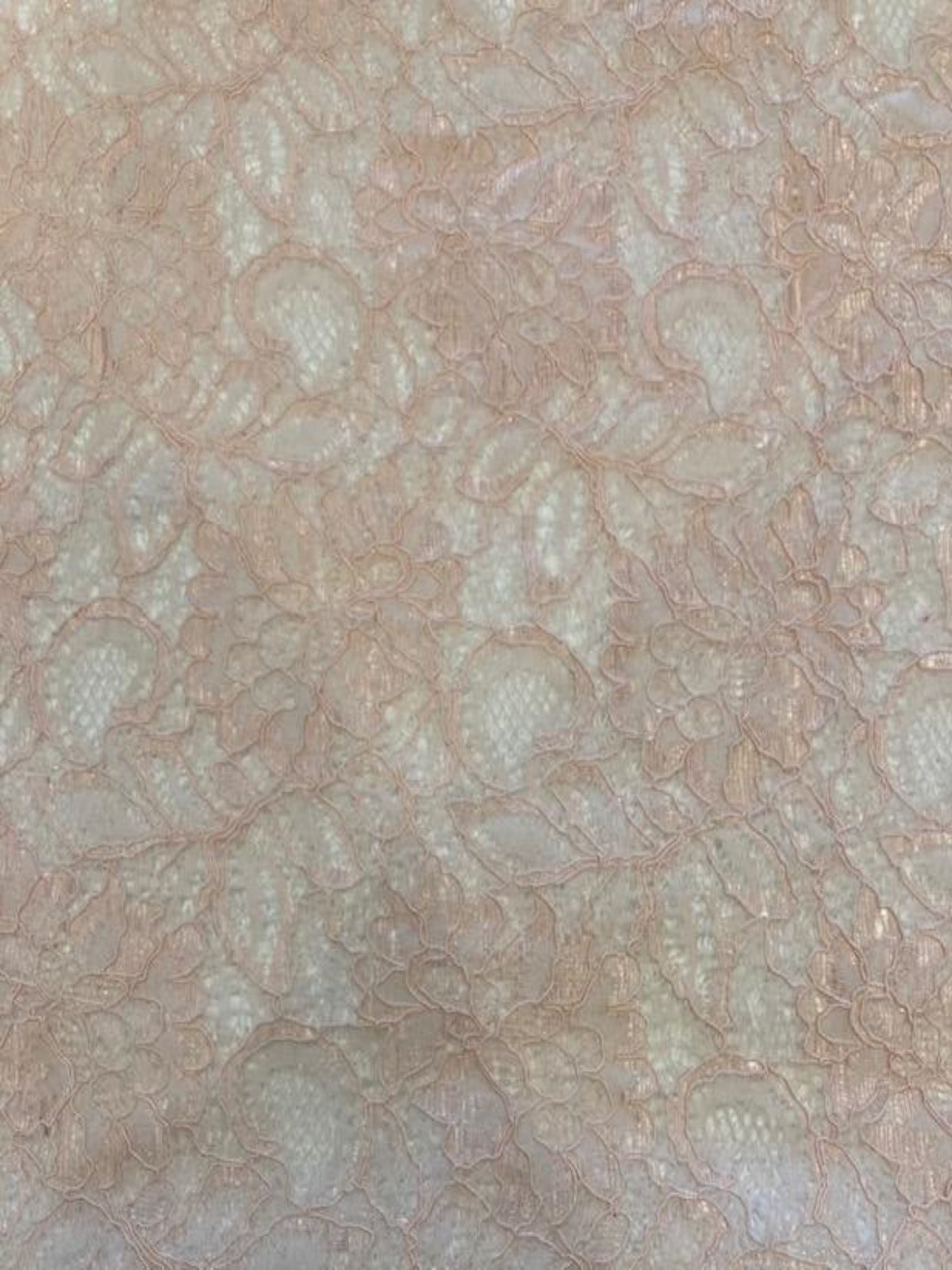 Pink Corded Lace with Scalloped Edge