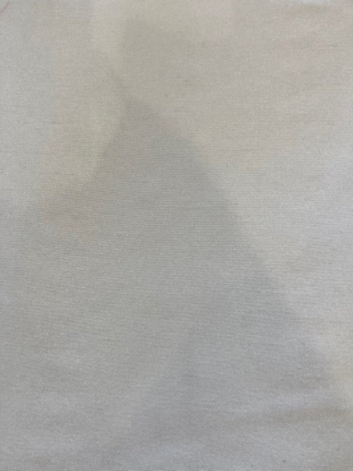 Porcelain Crisp & Firm Organza with Sheen