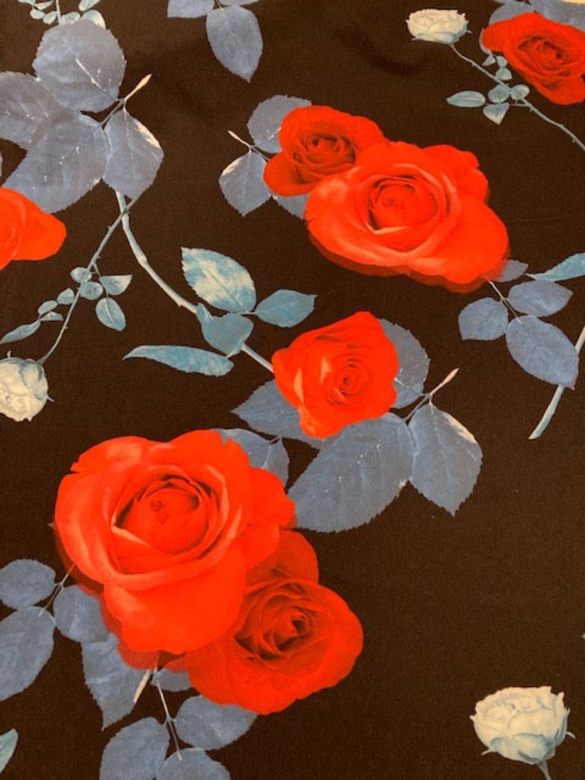 Red Roses / Blue leaves on Black Dress Weight Knit