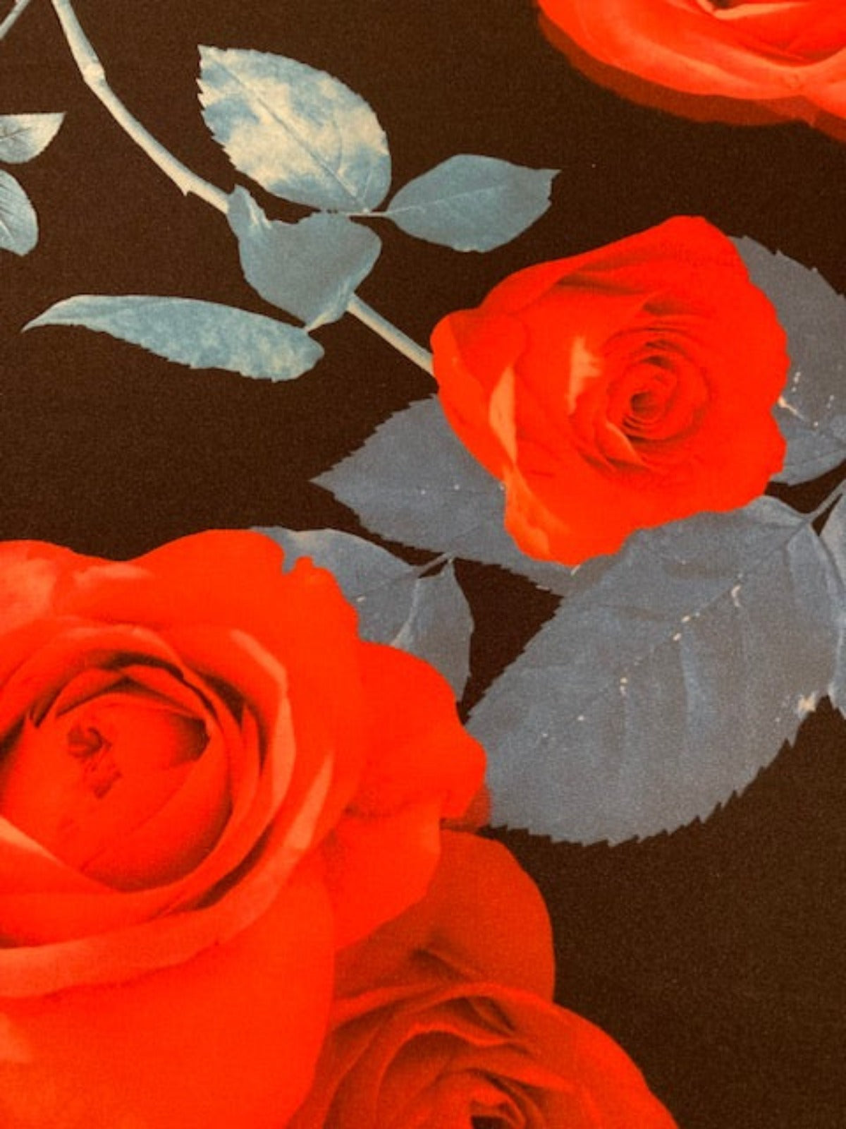 Red Roses / Blue leaves on Black Dress Weight Knit