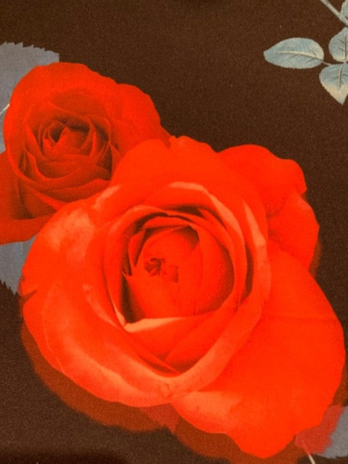 Red Roses / Blue leaves on Black Dress Weight Knit