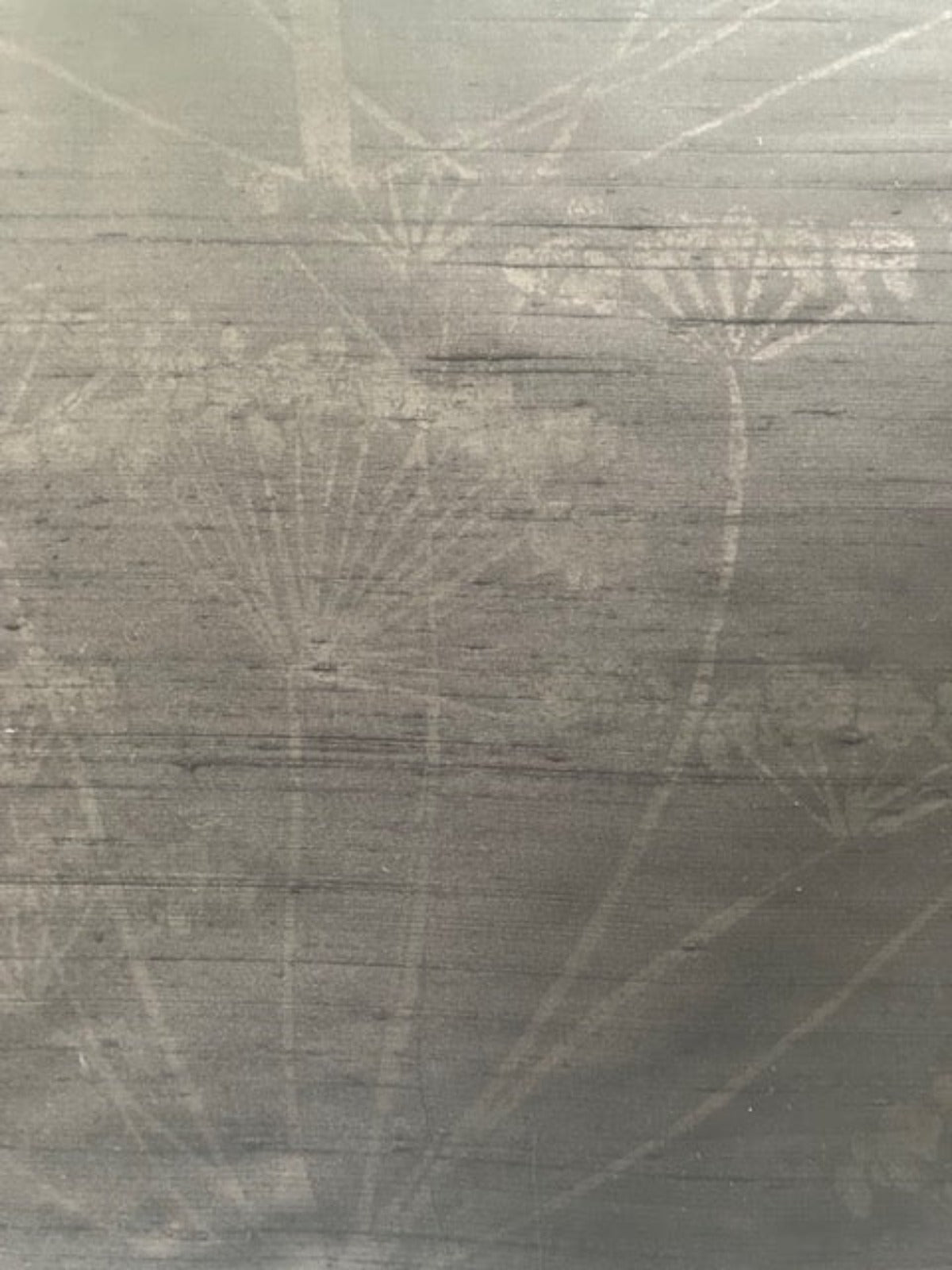 Black Allium Seed Head Shadow Print On Silk Dupion