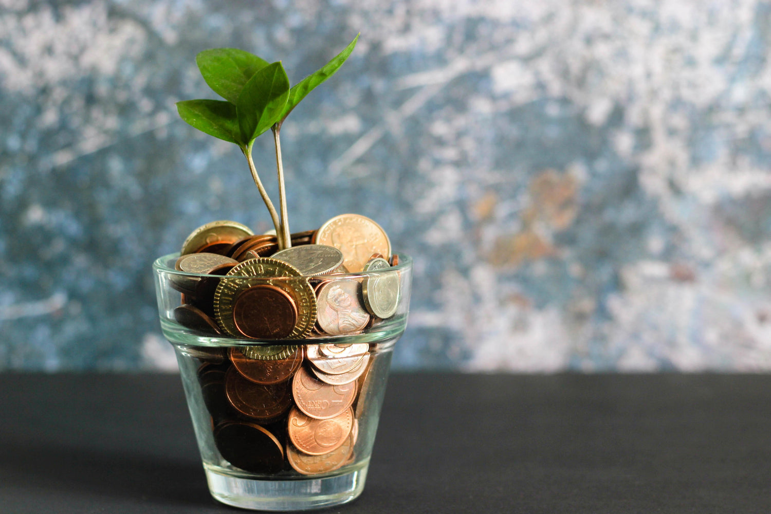 How to make sustainability affordable?