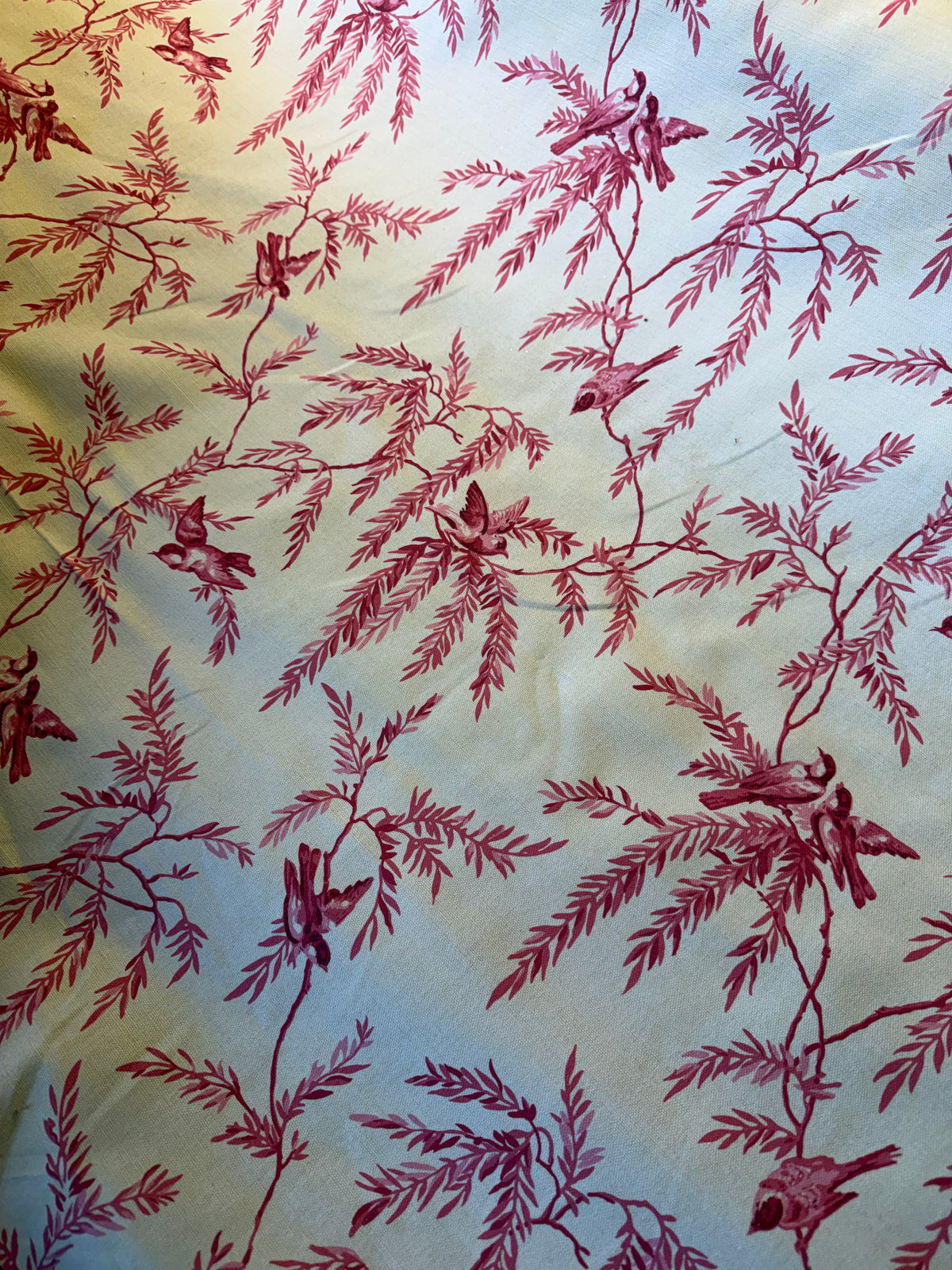 Natural Cotton Furnishing Fabric with Red Birds & Branches – 100% Cotton, 140cm Wide