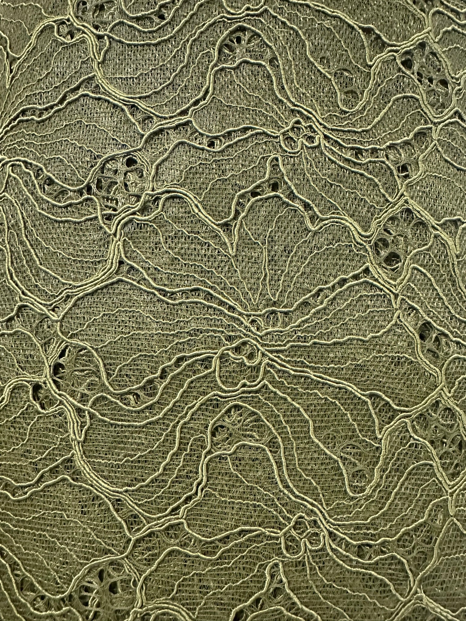 Olive Green Corded Floral Lace – Elegant & Versatile
